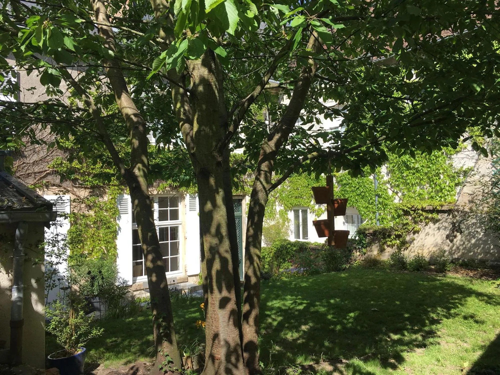 Garden in La Maison Saint Aignan