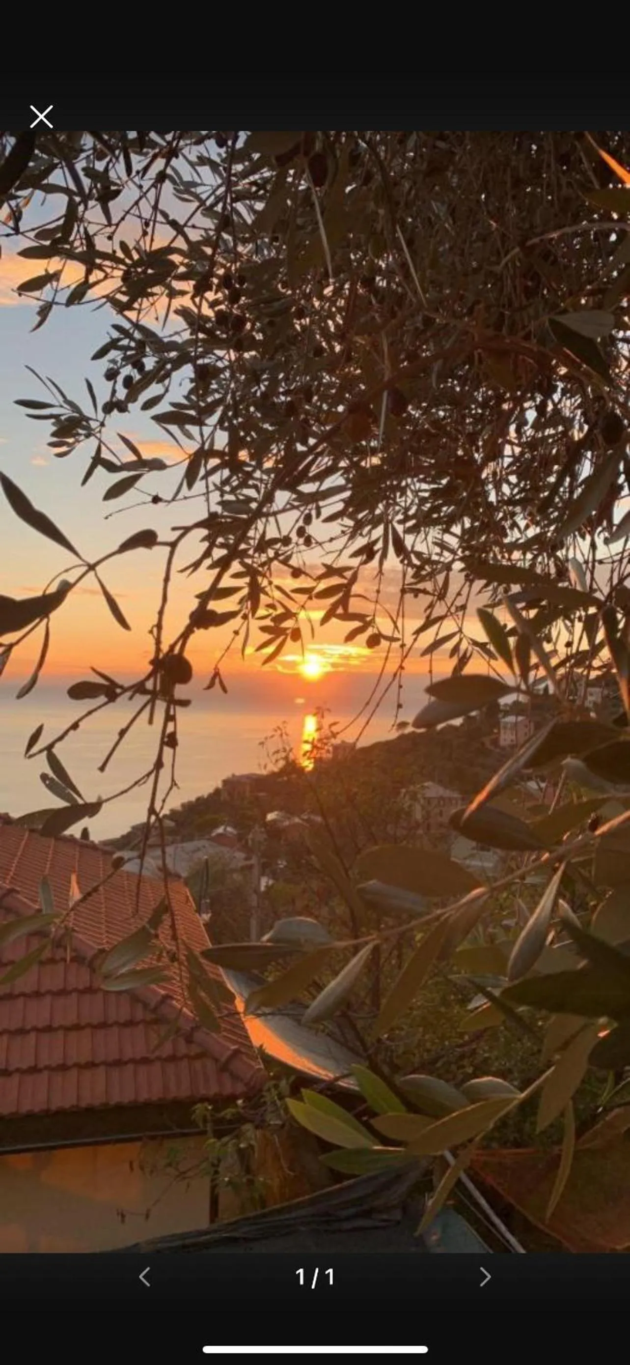 Il Gabbiano Di Pieve