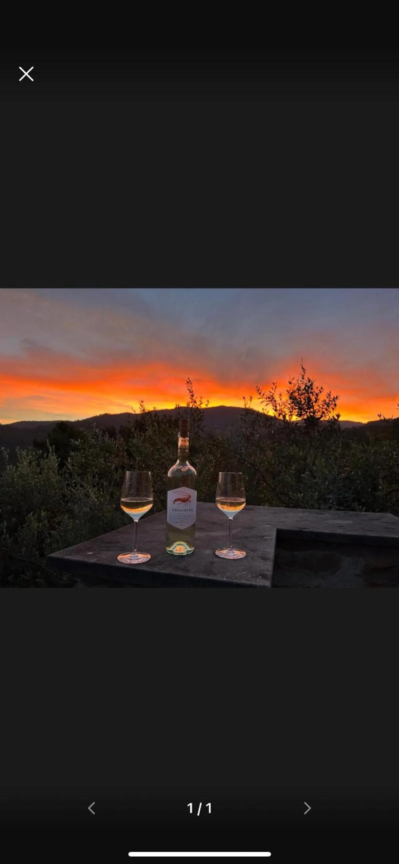 Il Gabbiano Di Pieve