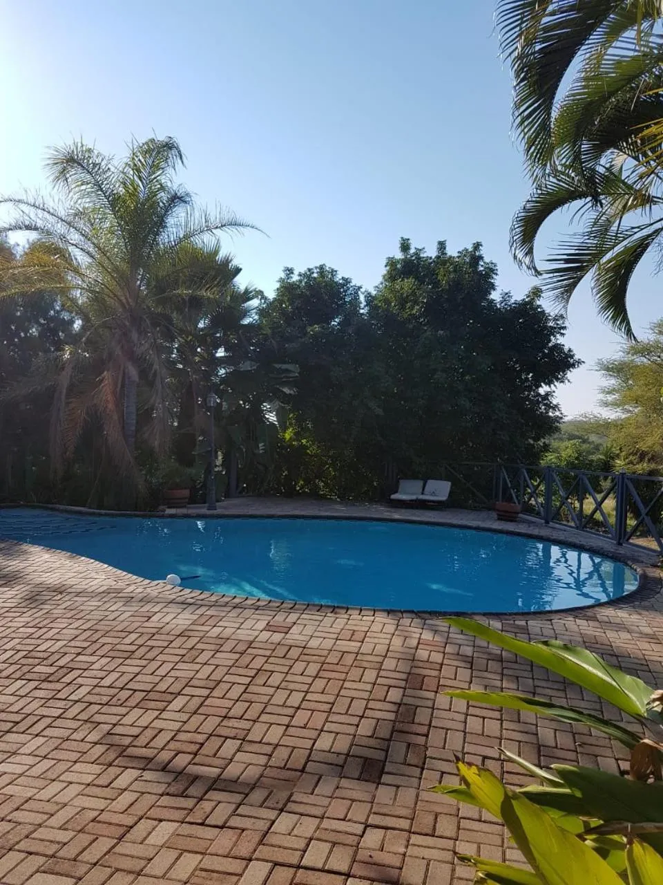 Swimming pool in Old Mine Guesthouse