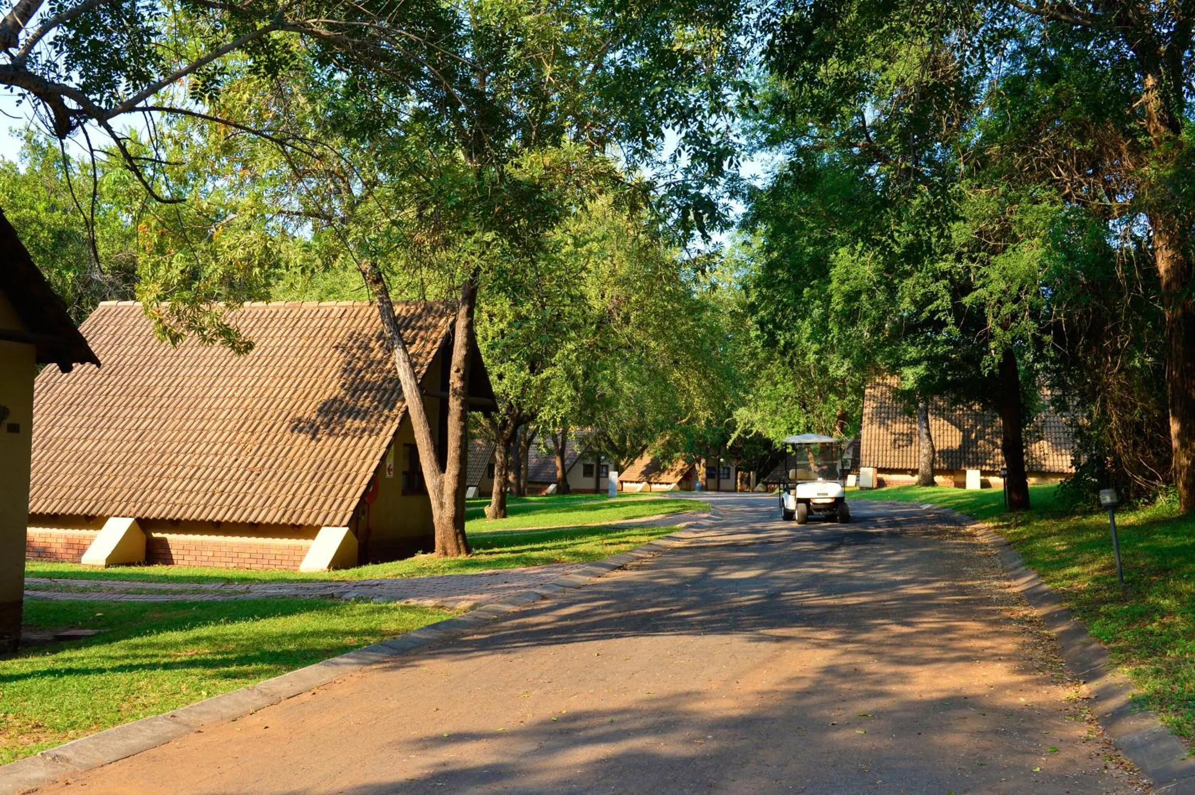 Natural landscape in Pestana Kruger Lodge