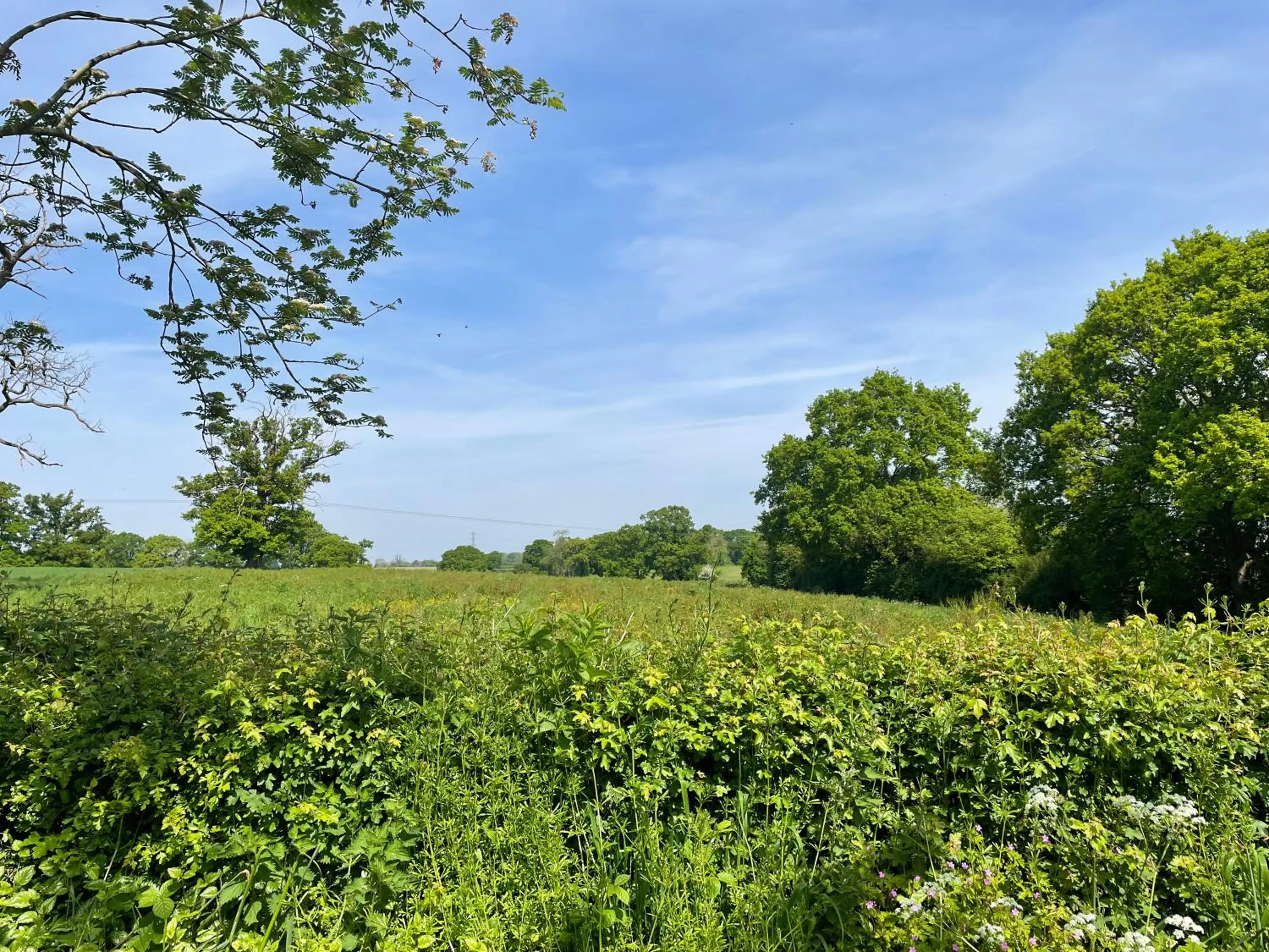 View (from property/room) in Pear Tree Inn Whitley