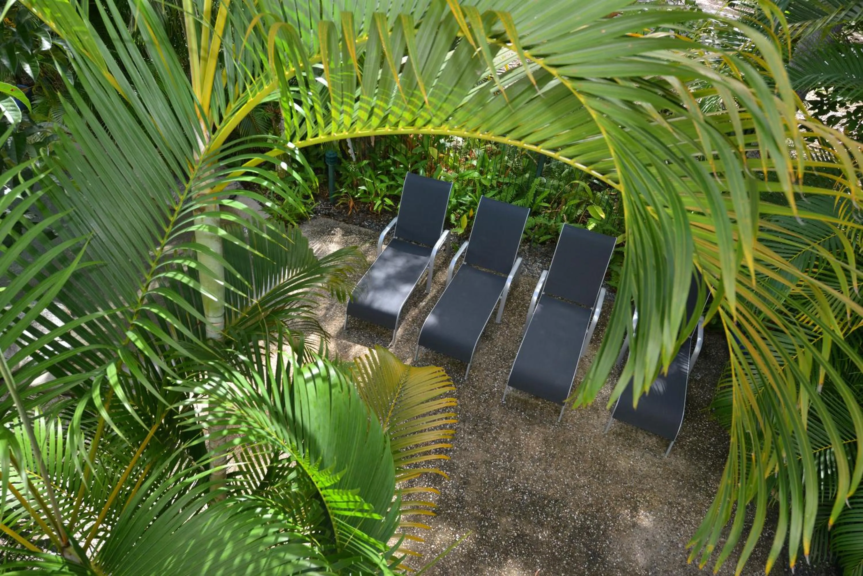 Swimming pool in Coral Apartments Port Douglas