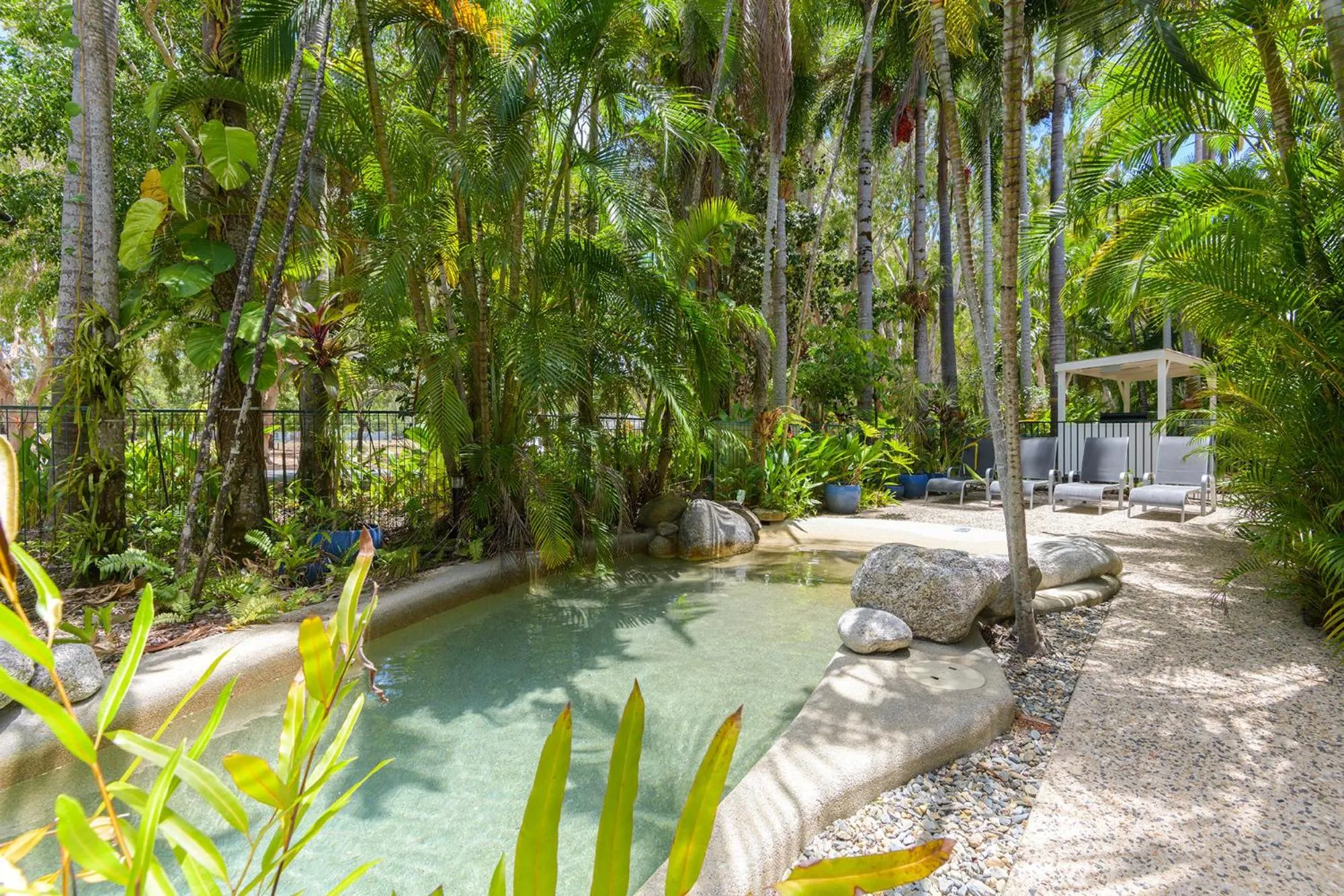 Swimming pool in Coral Apartments Port Douglas