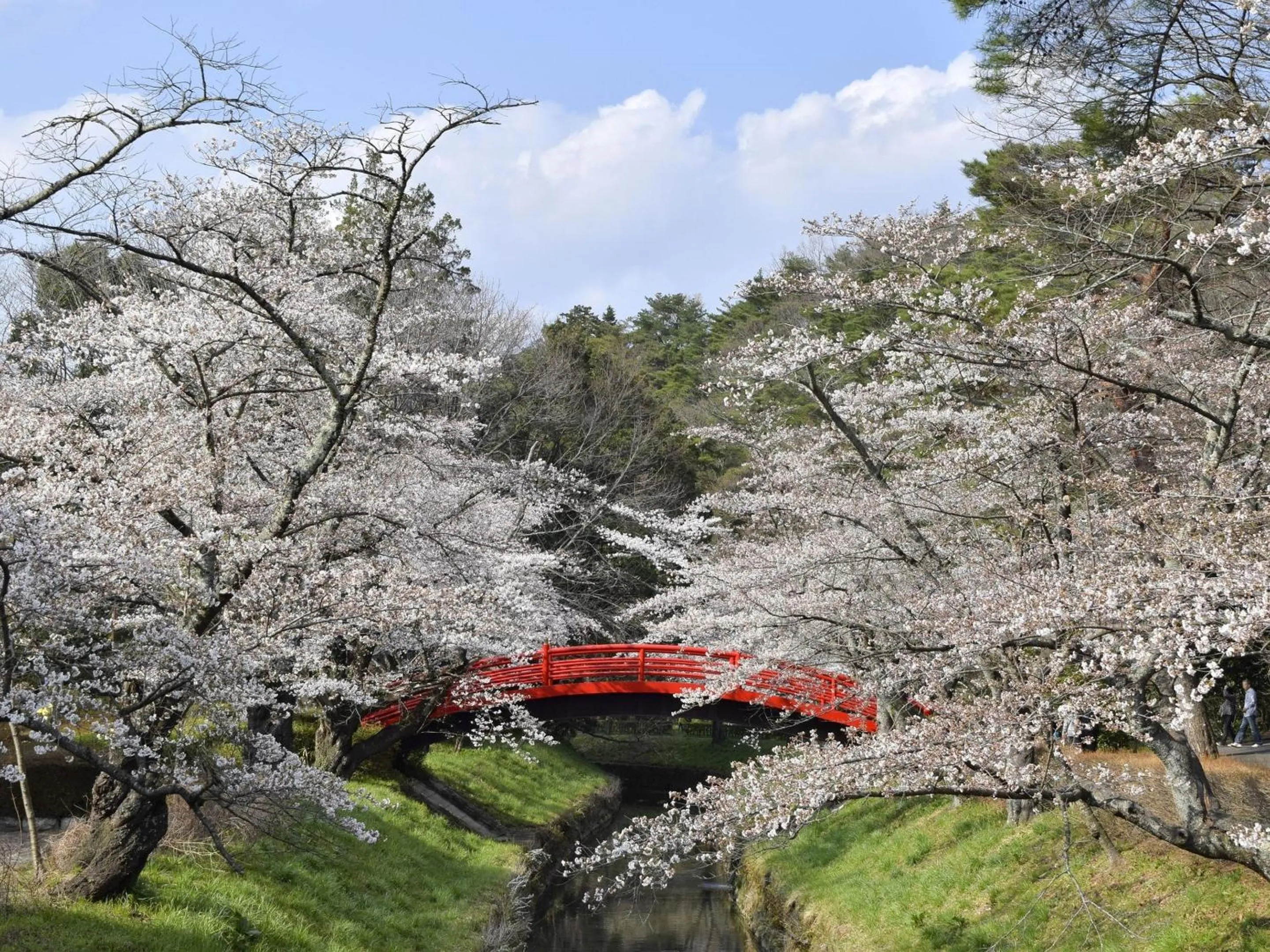 Nearby landmark in Hotel Wing International Sukagawa