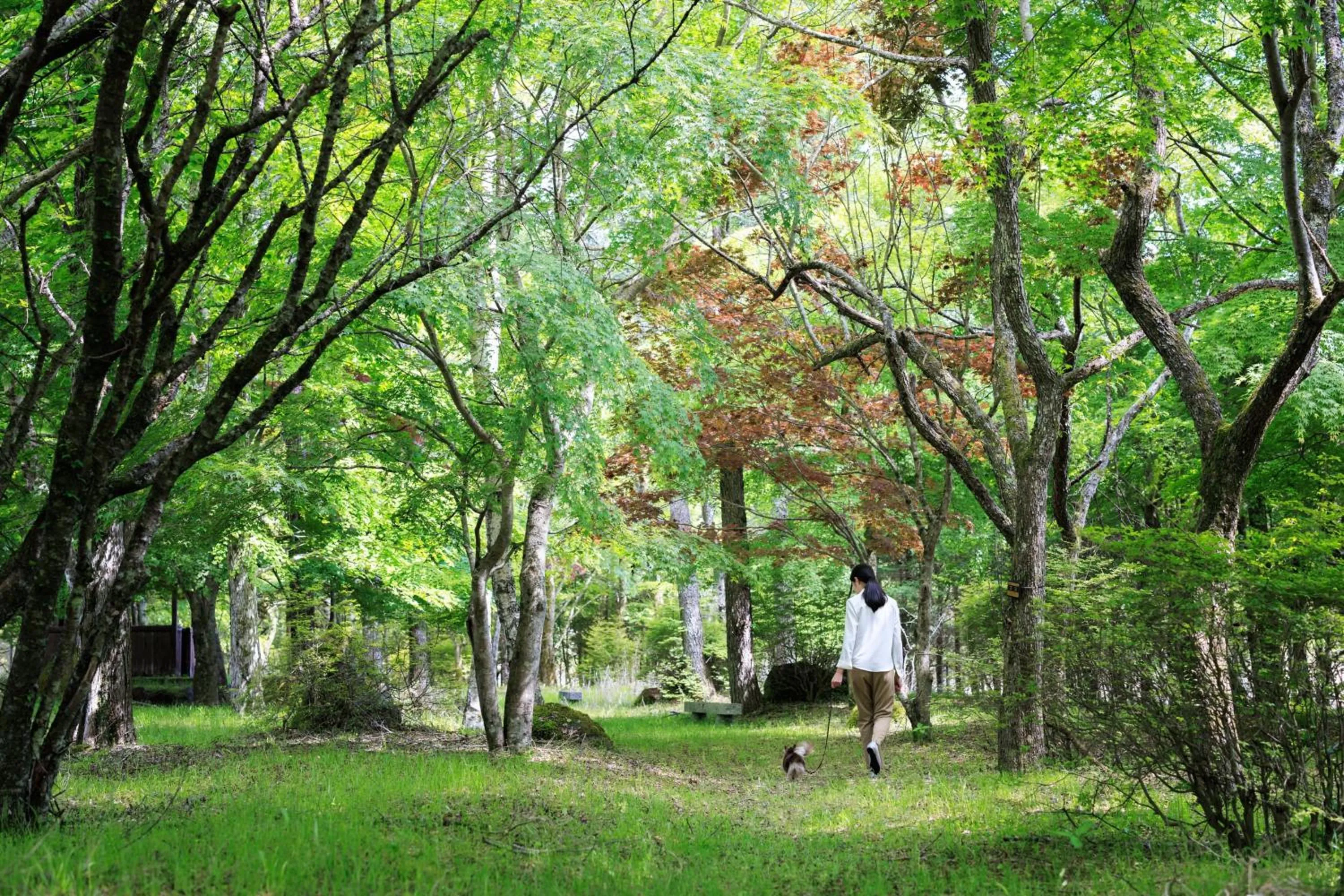 Other in Fuji Marriott Hotel Lake Yamanaka