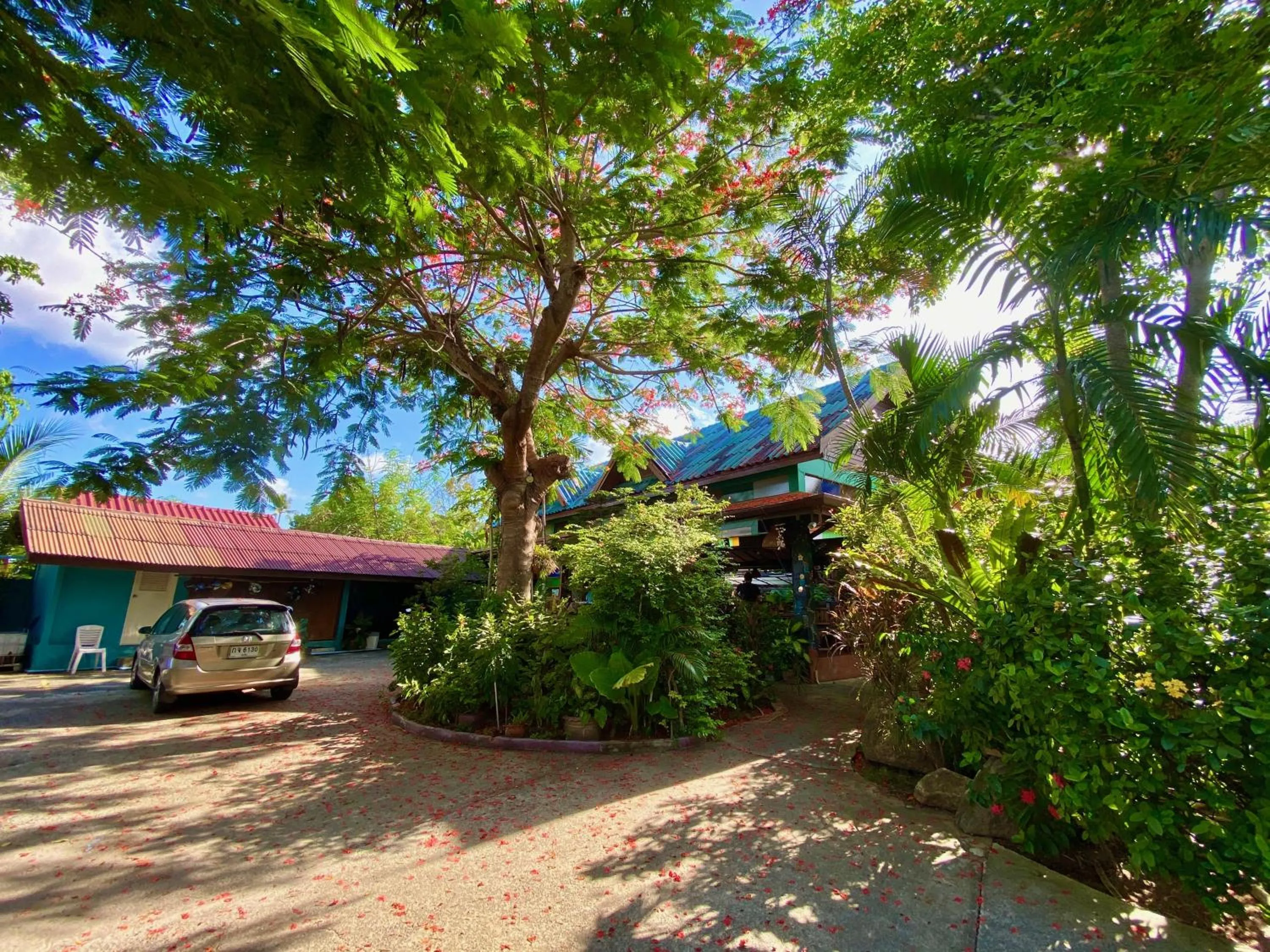 Garden in Shanti Lodge Phuket