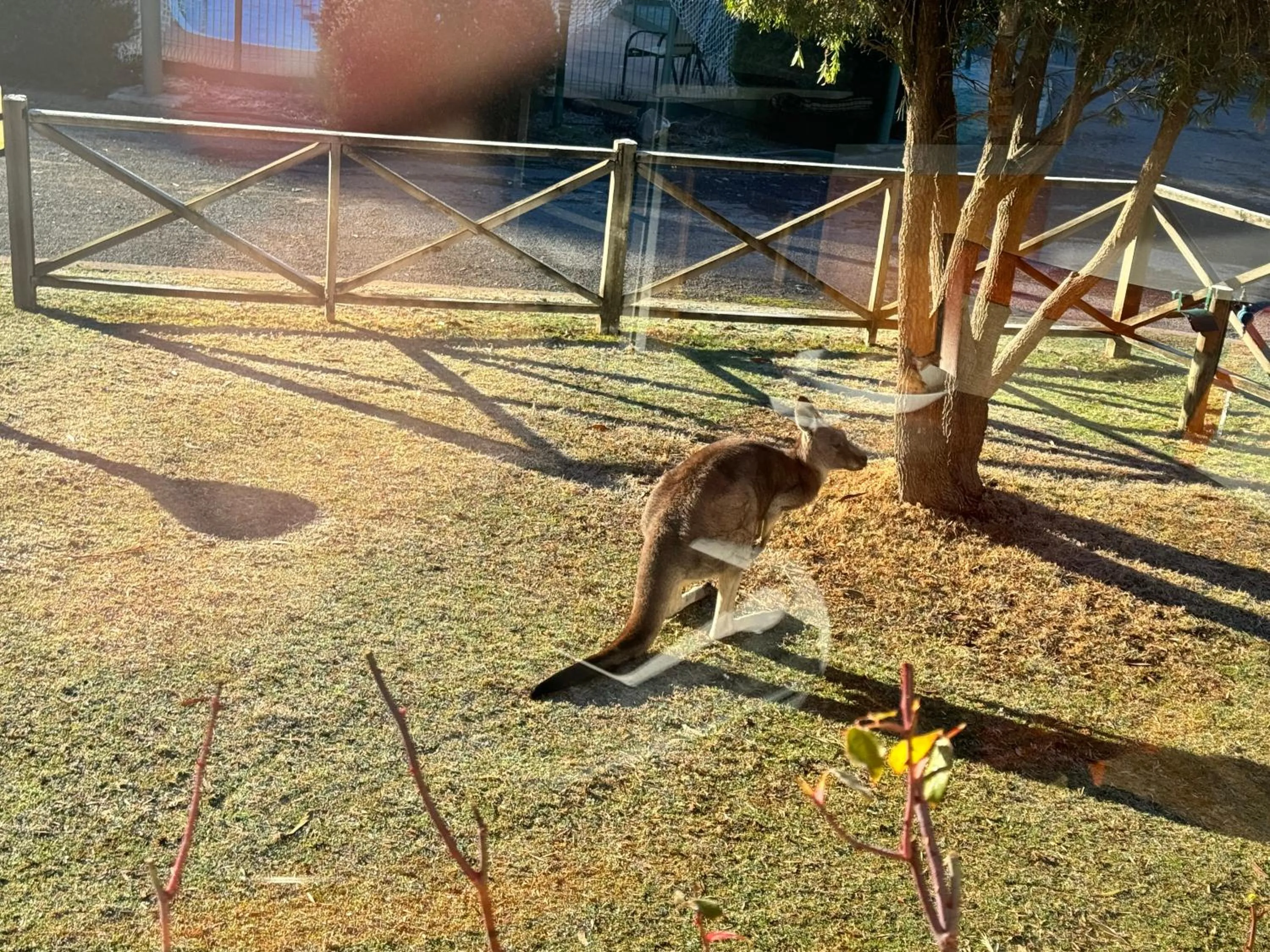 Day in Halls Gap Log Cabins