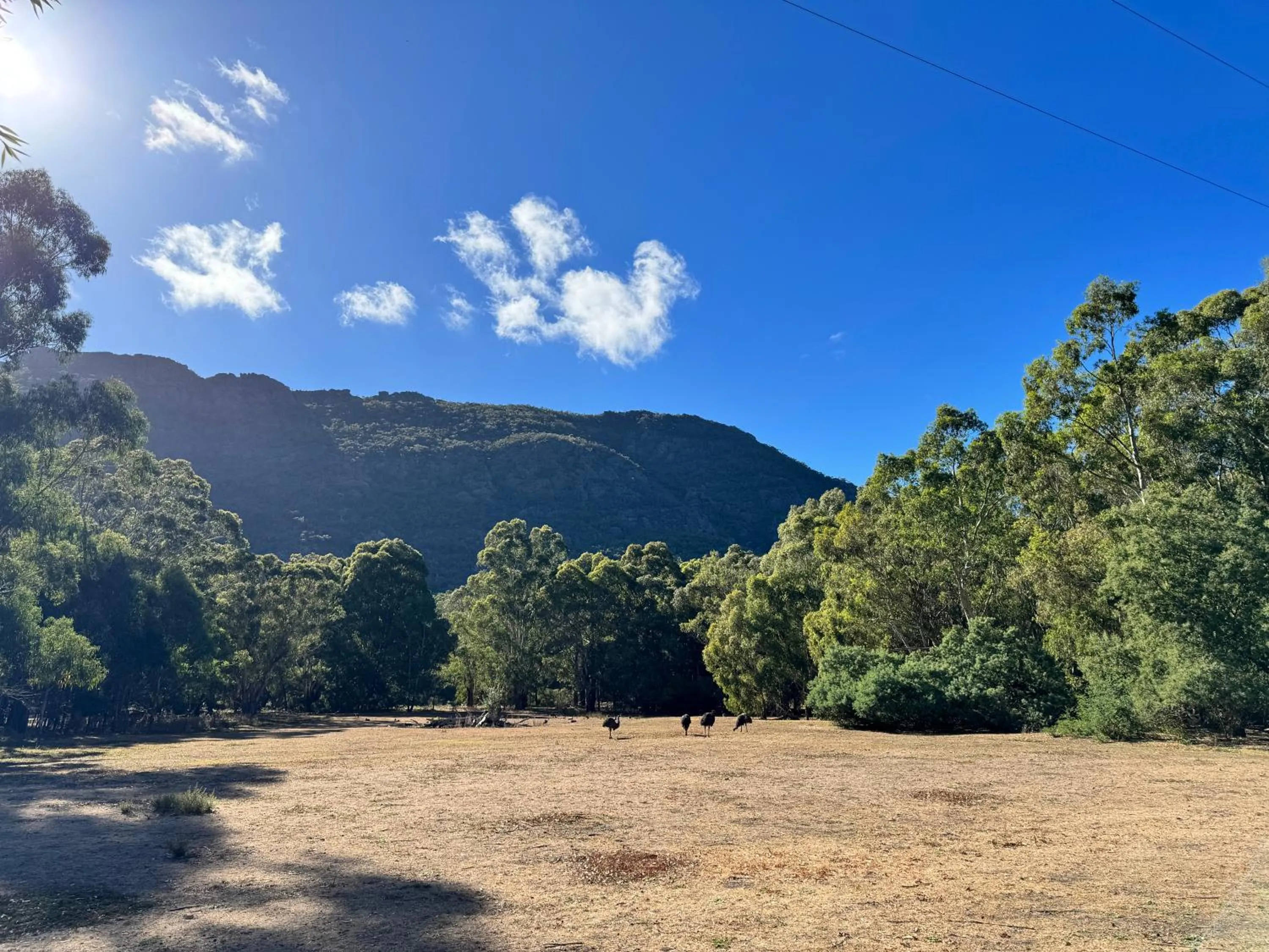 Nearby landmark in Halls Gap Log Cabins