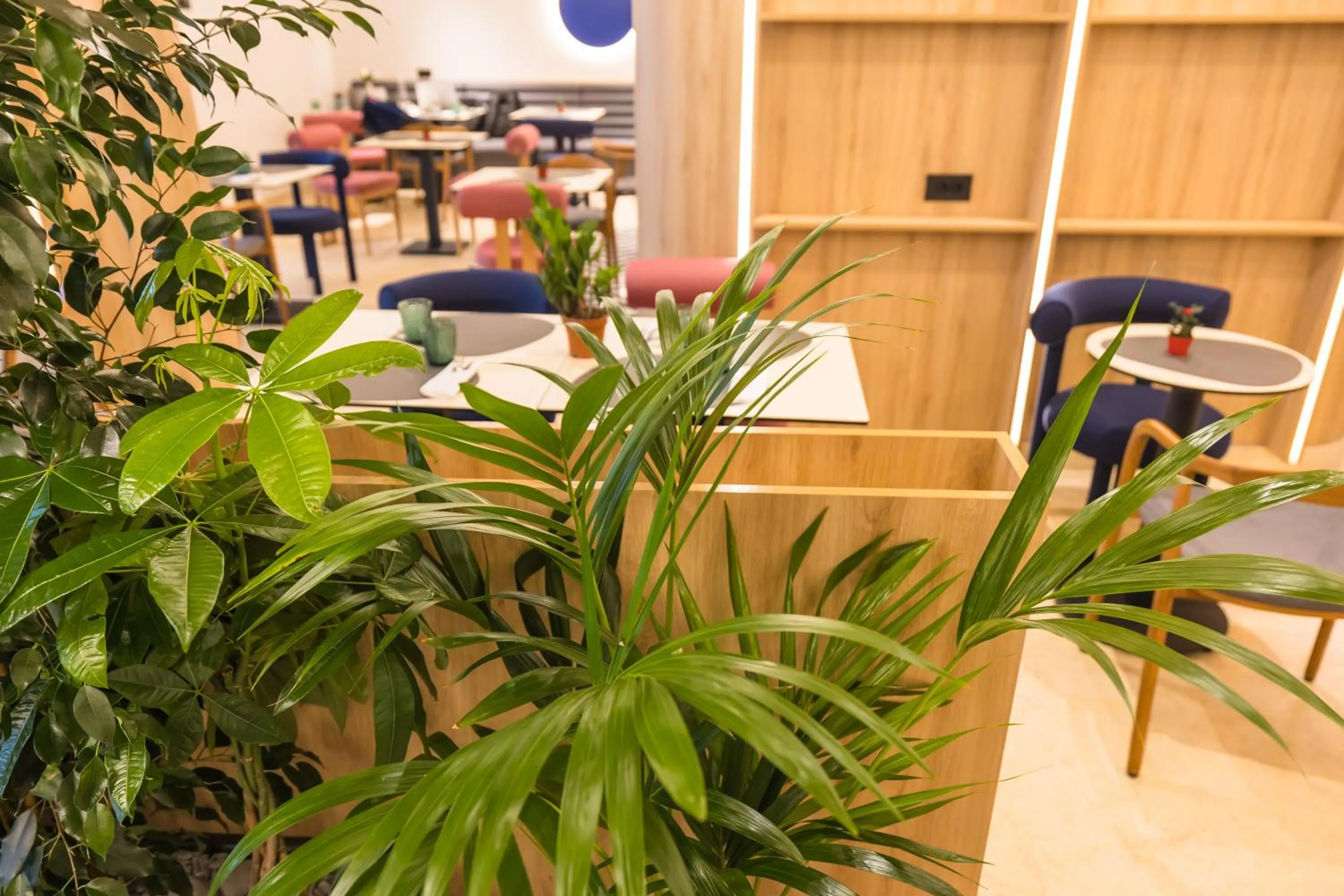 Restaurant/places to eat in Mercure Bucharest Cantemir