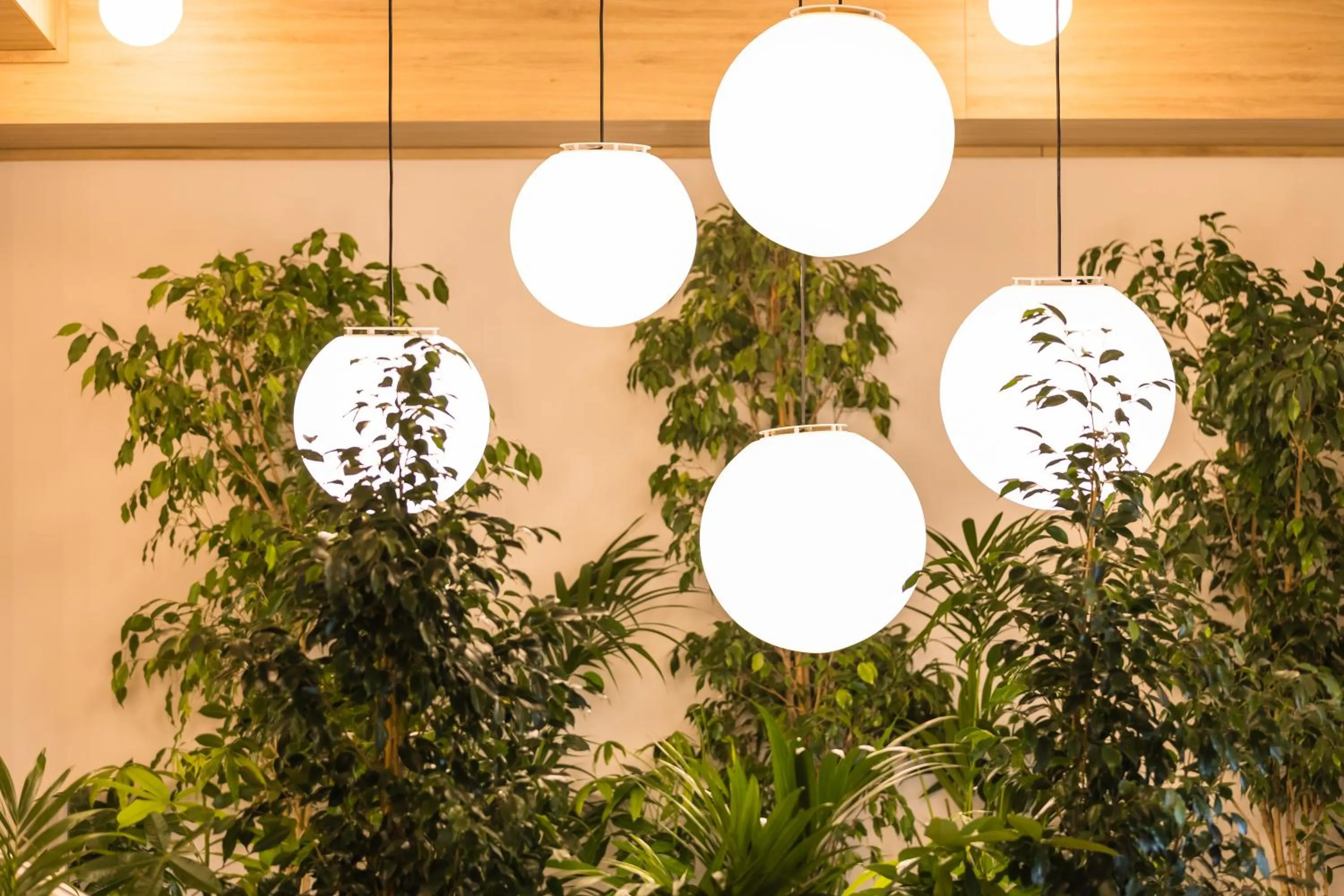 Lobby or reception in Mercure Bucharest Cantemir