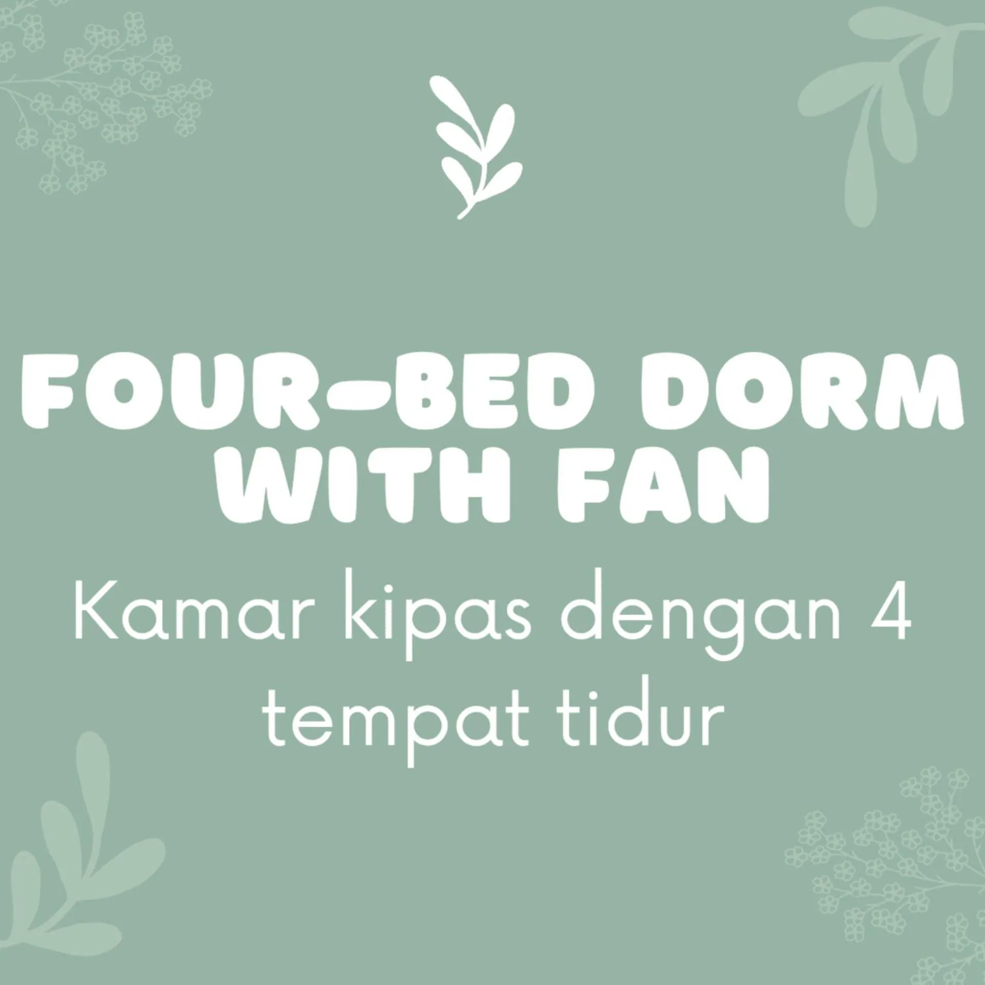 Laura's Backpacker 523