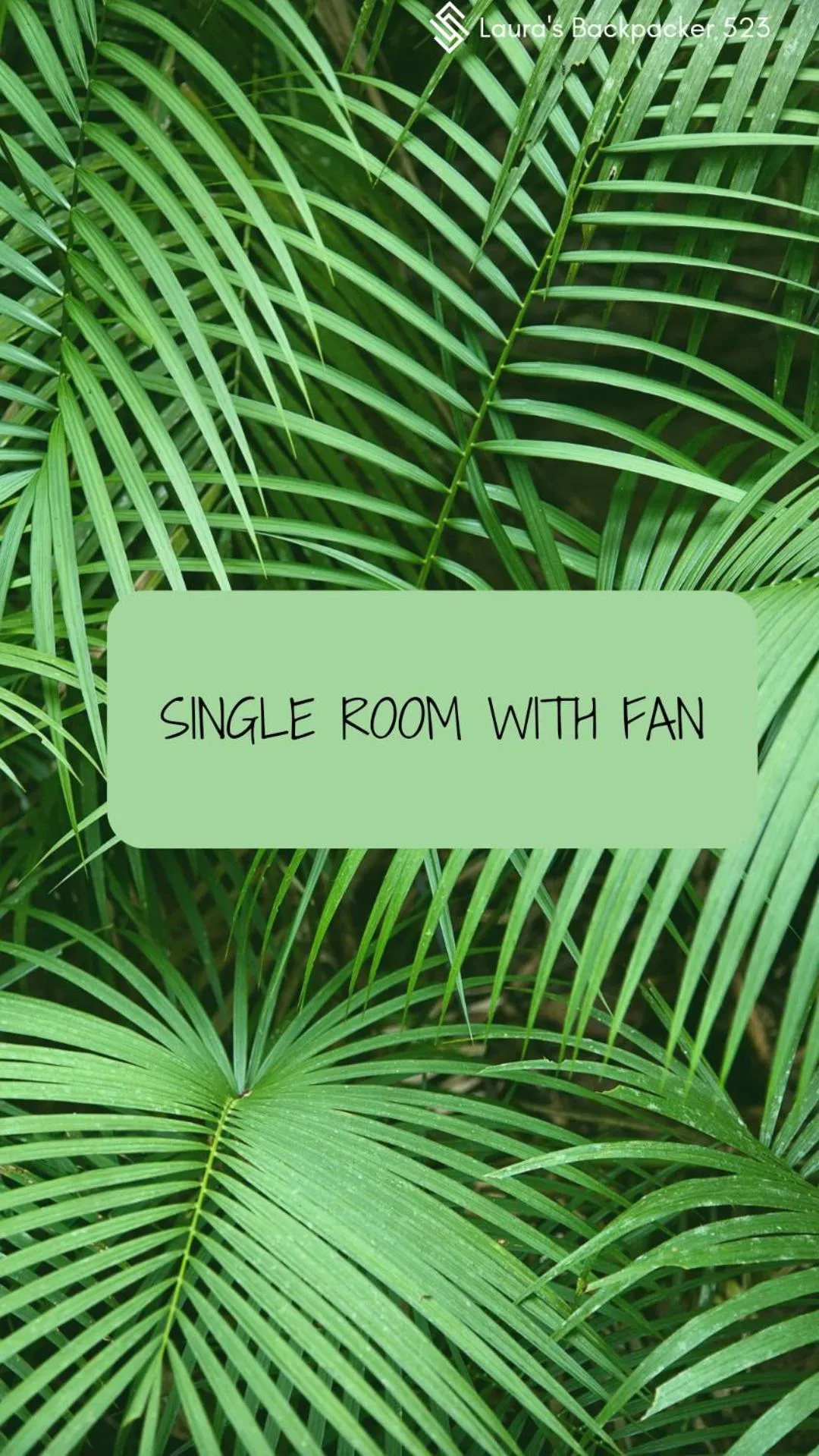 Laura's Backpacker 523