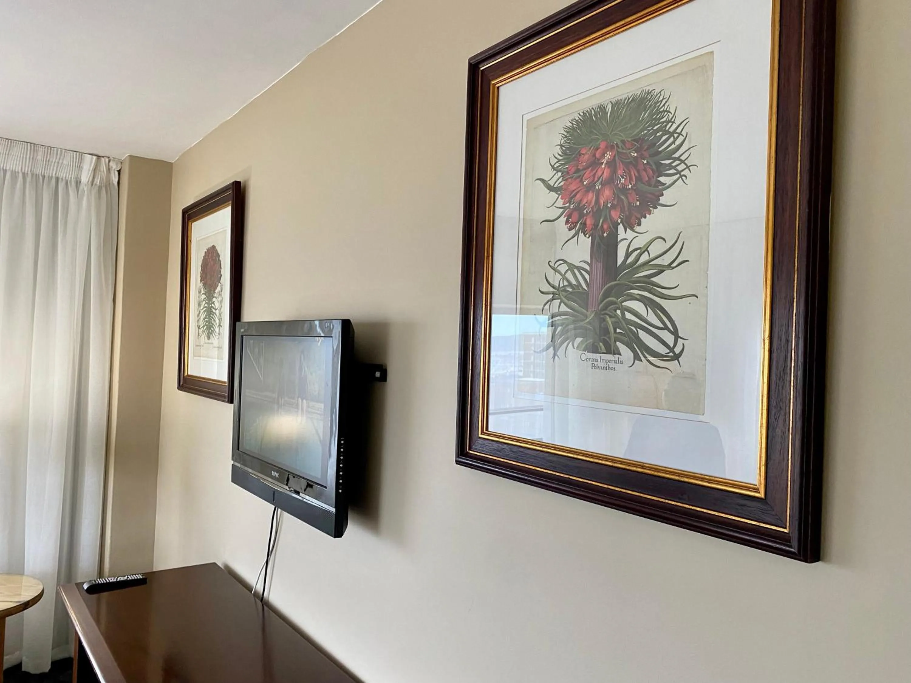 TV and multimedia in The Royal Hotel by Coastlands Hotels & Resorts