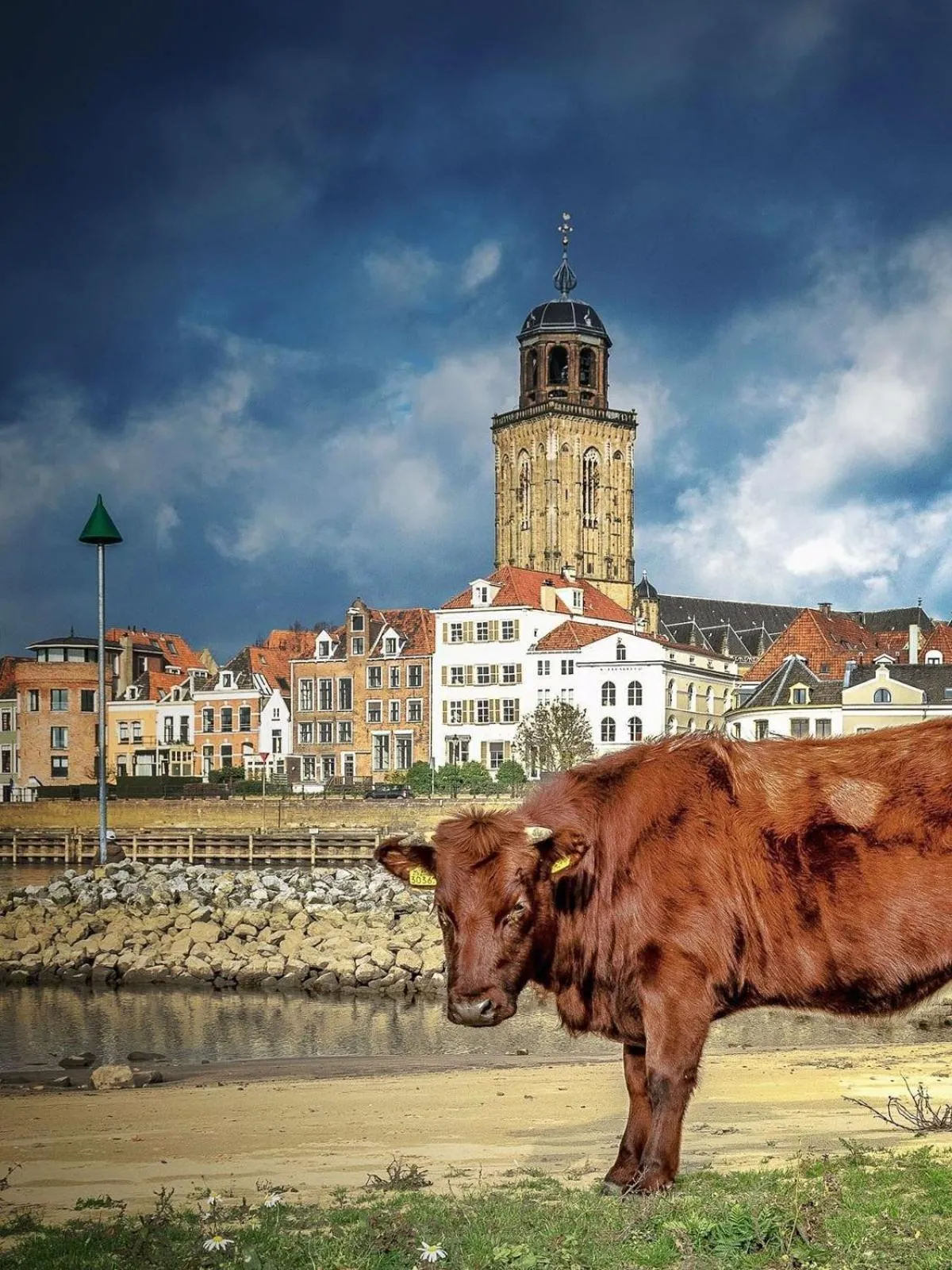 Deventer Heritage en Boutique B&B, museumhuis "De Worp", het huis met de theekoepel, logeren in authentiek historisch erfgoed