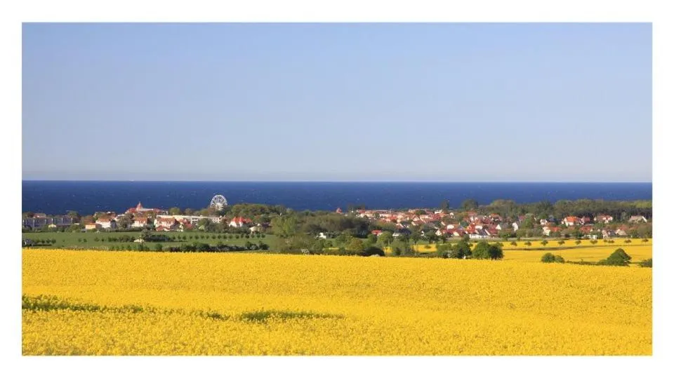 Natural landscape in Strandhotel Nordischer Hof