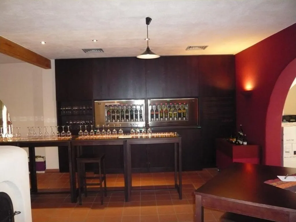 Activities in Consulat des Weins