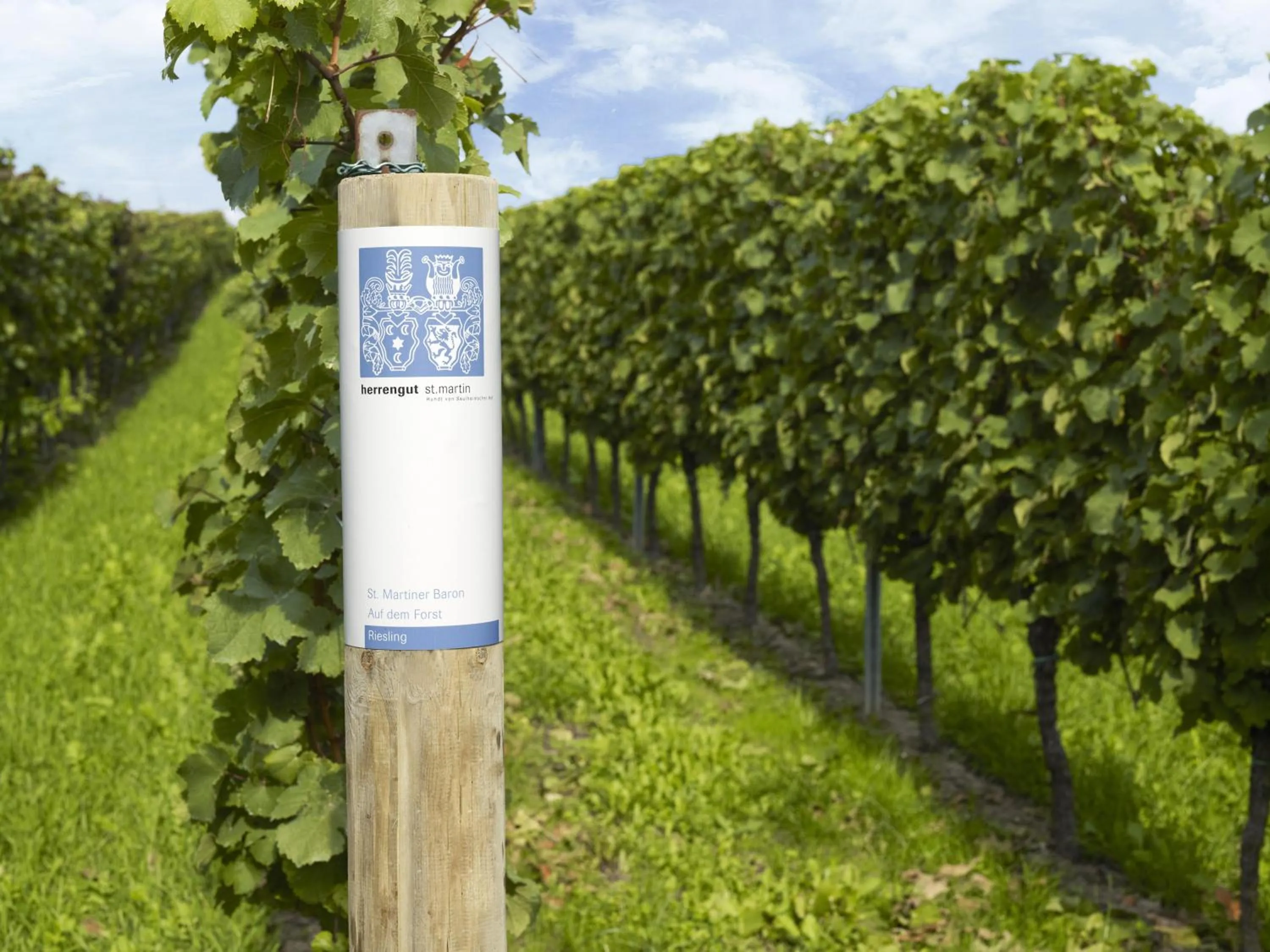 Nearby landmark in Consulat des Weins