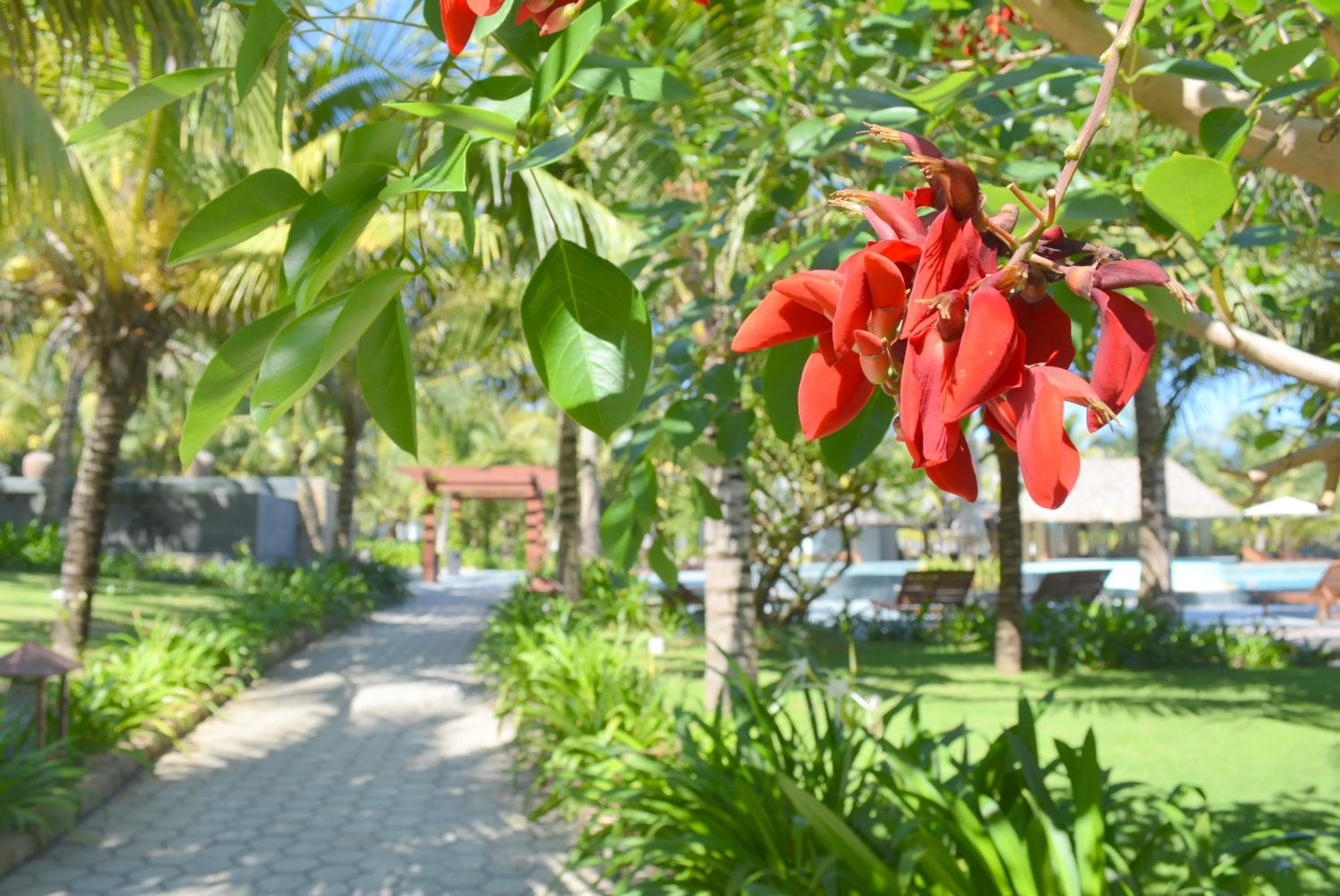 Natural landscape in Sonata Resort & Spa