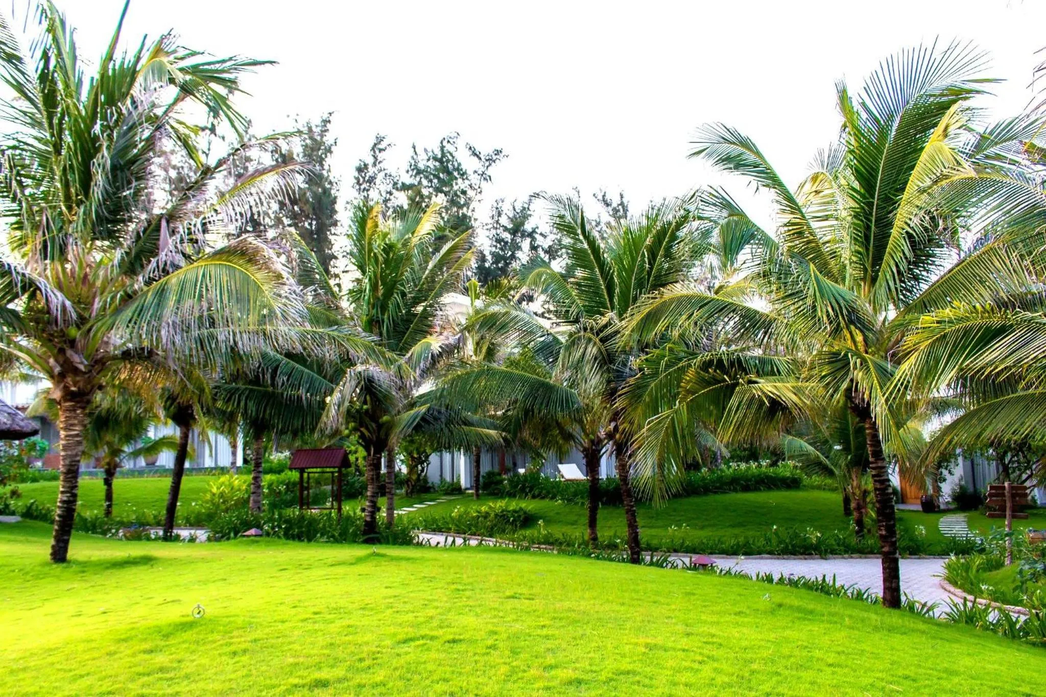 Garden in Sonata Resort & Spa