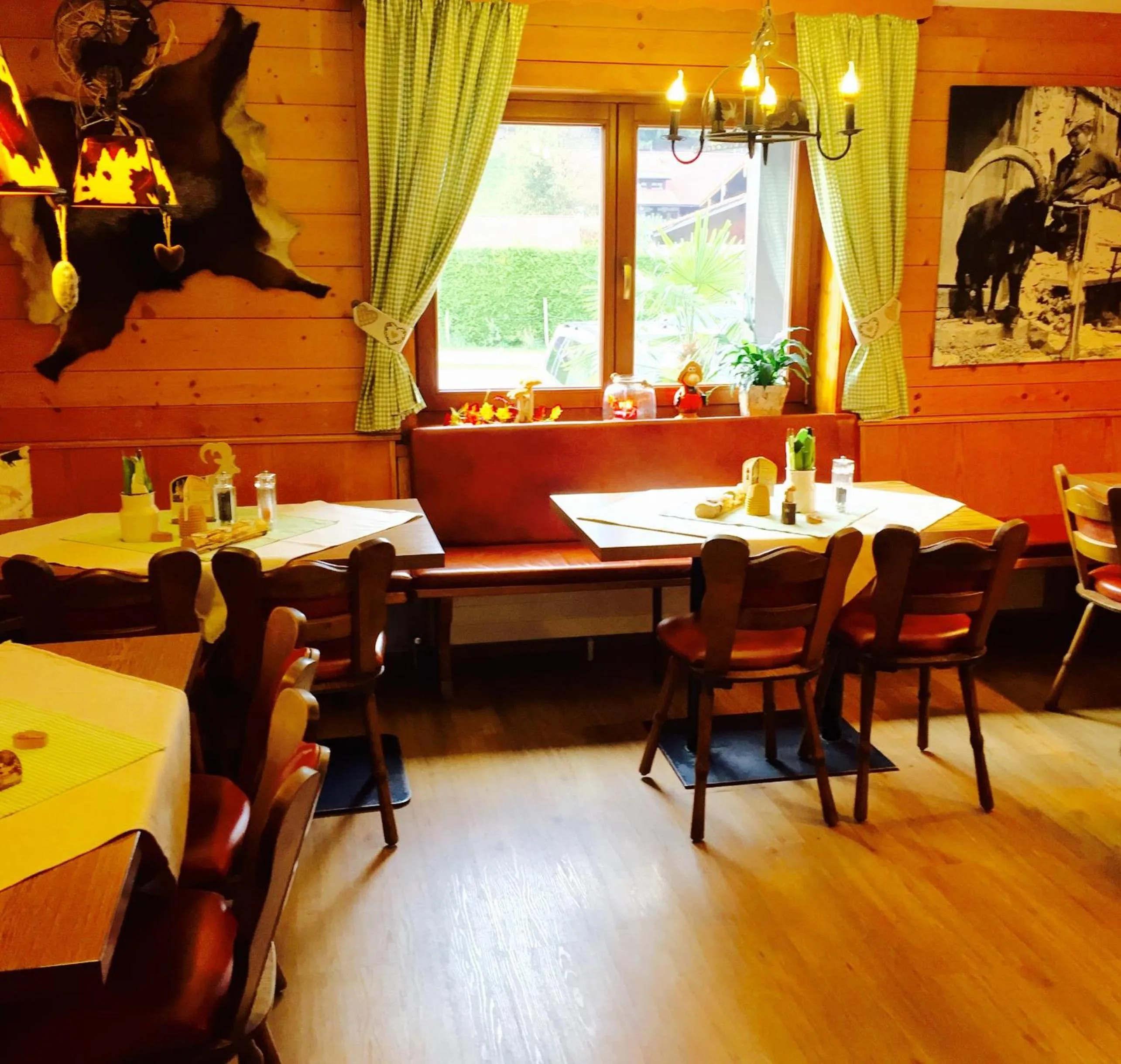 Day in Steinbock Bed & Breakfast