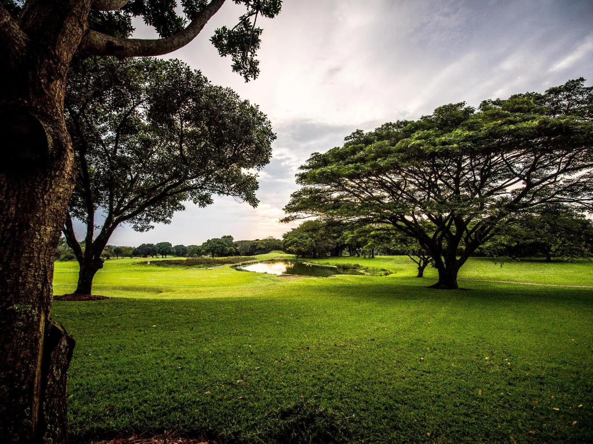 Golfcourse in Selborne Golf Estate, Hotel & Spa