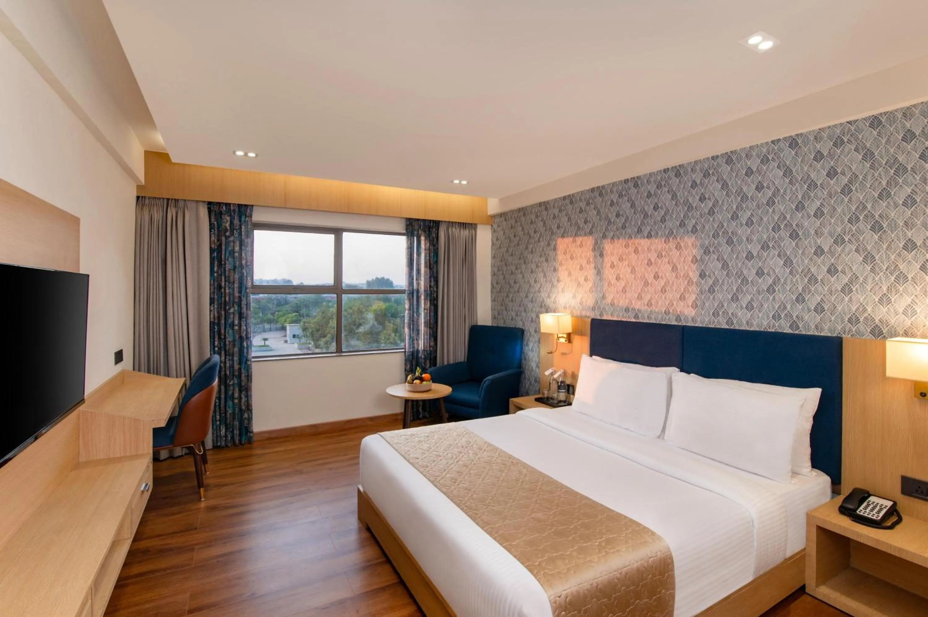 Double Room - single occupancy in Amber-A unit of Sayaji Hotels