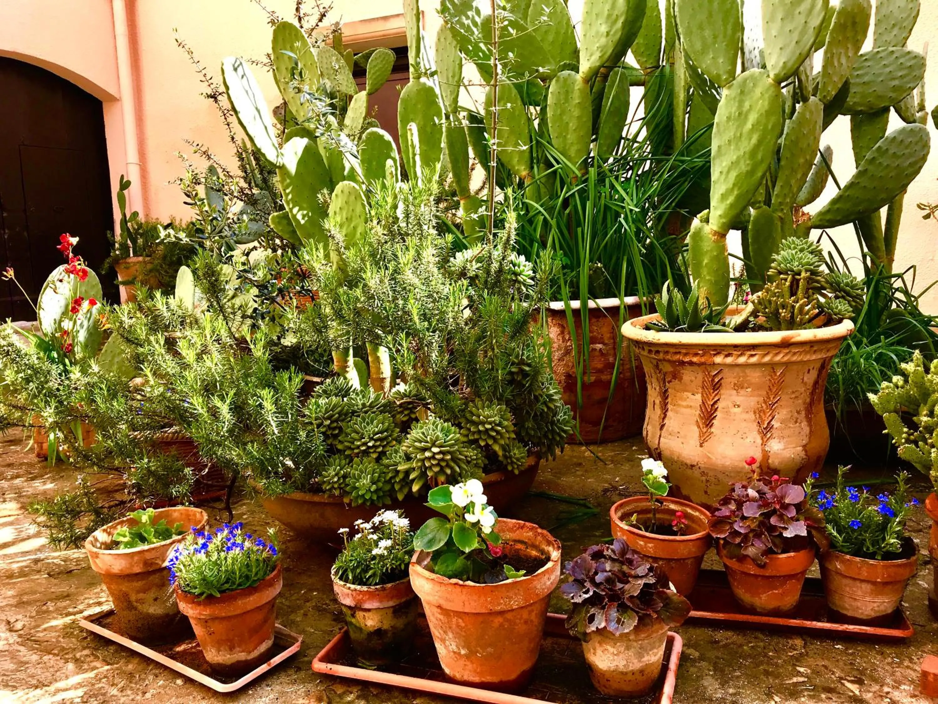 Balcony/Terrace in 100 Craste