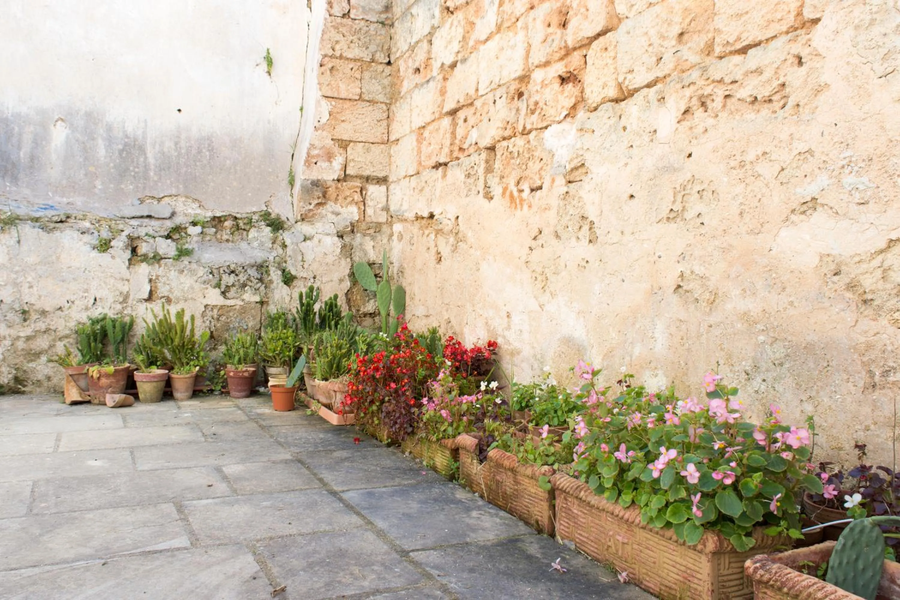 Garden in 100 Craste