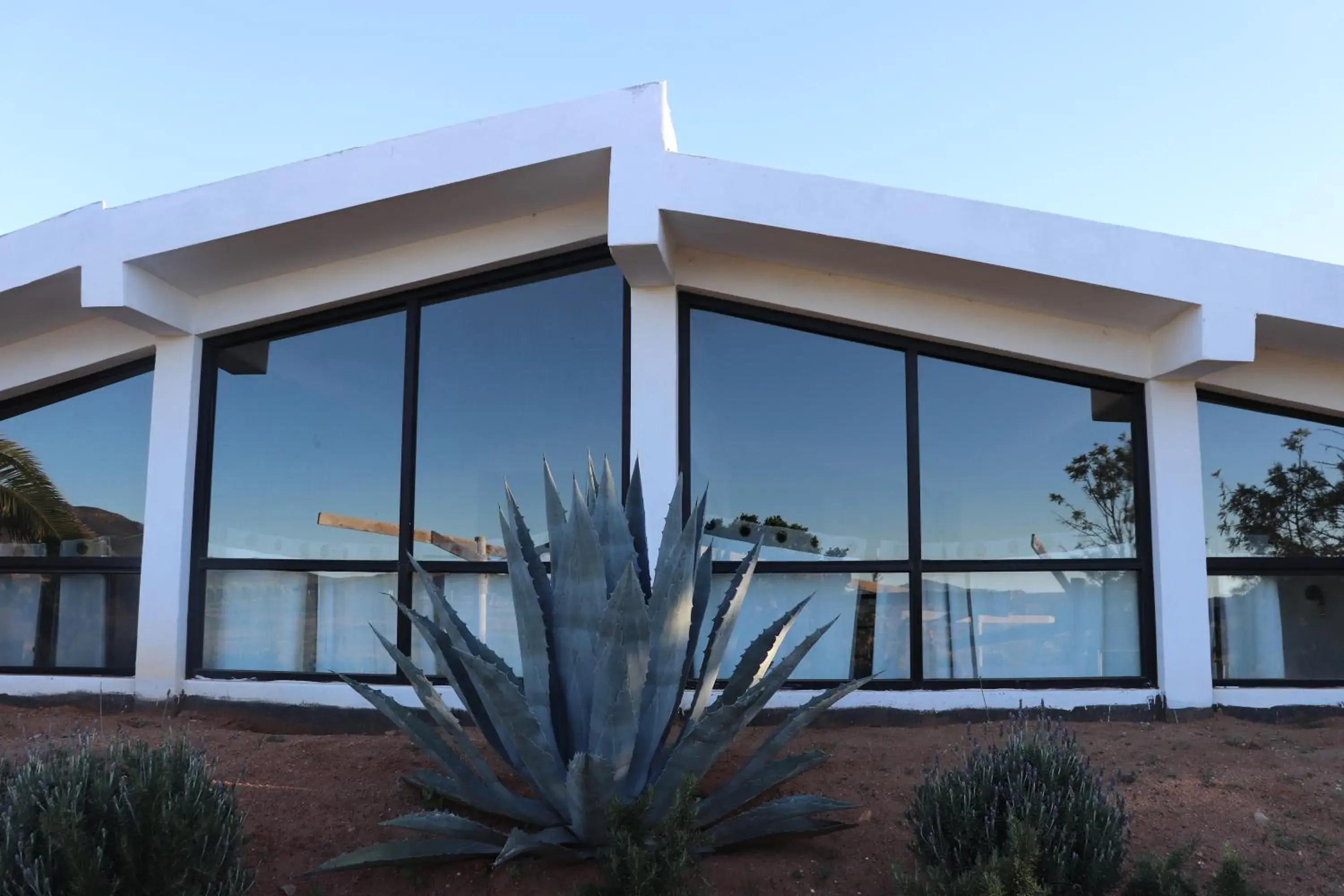 DaNik Valle DaNik Valle