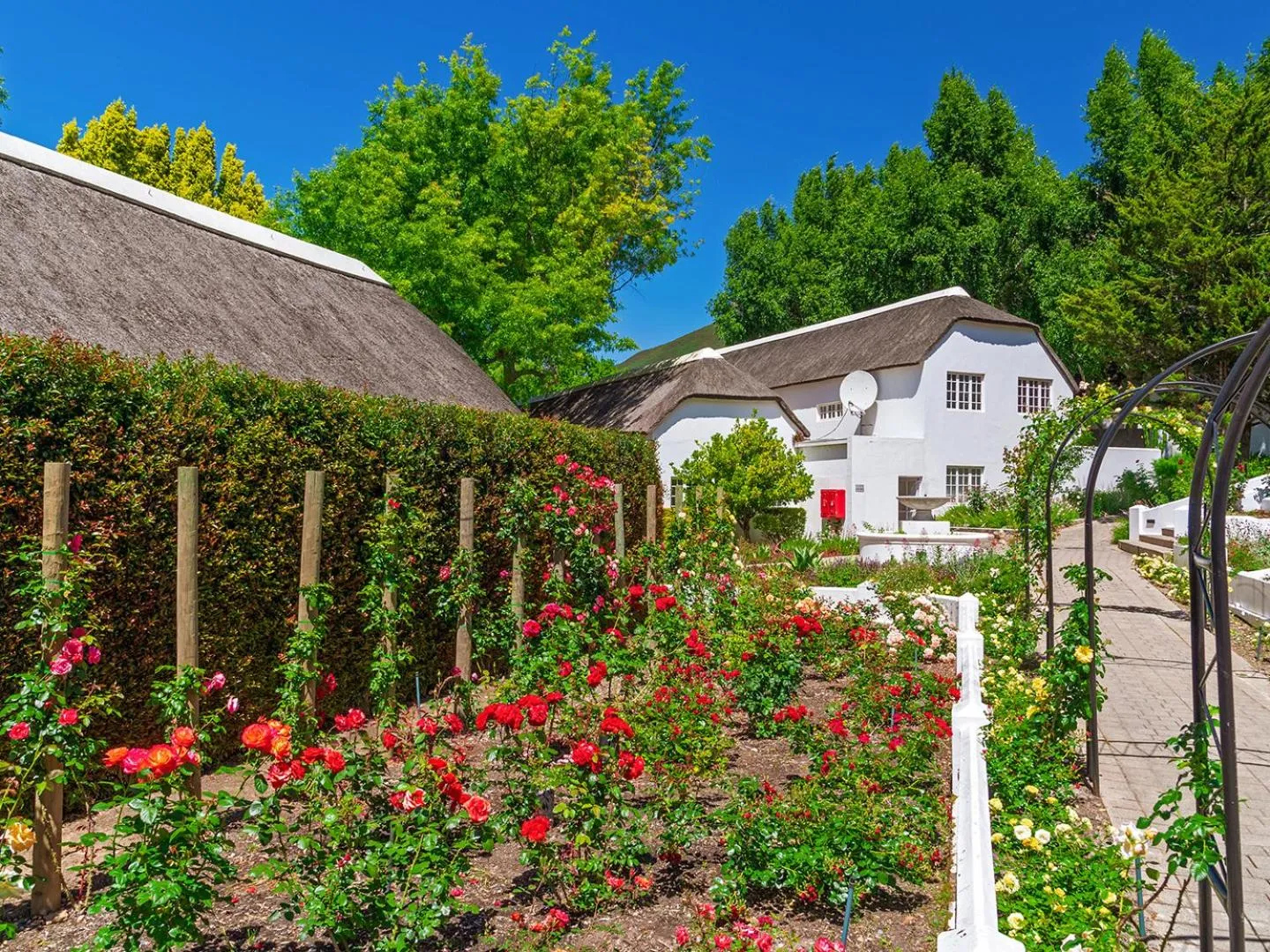 Garden view in Le Franschhoek Hotel & Spa by Dream Resorts