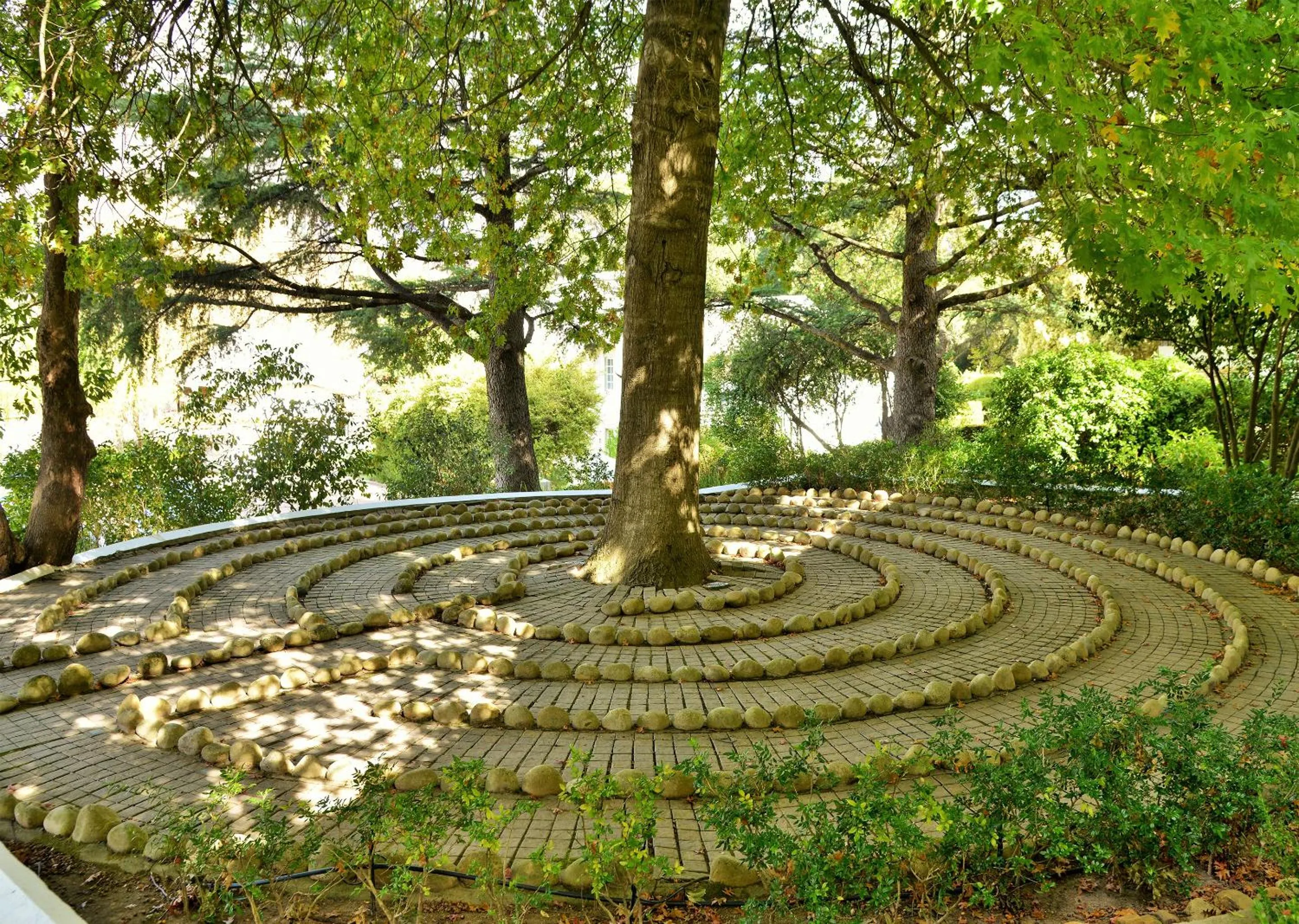 Garden view in Le Franschhoek Hotel & Spa by Dream Resorts