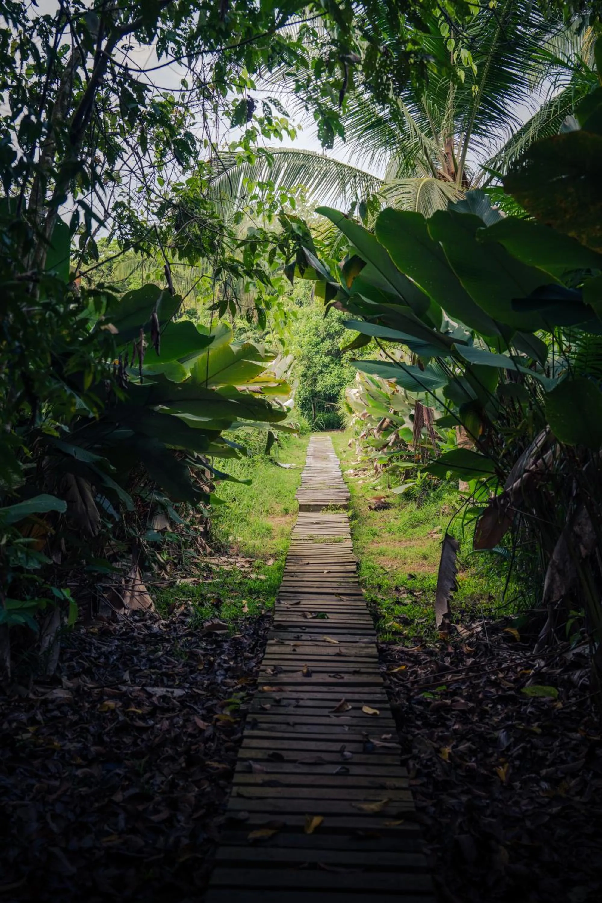 Hiking in Hacienda Baru