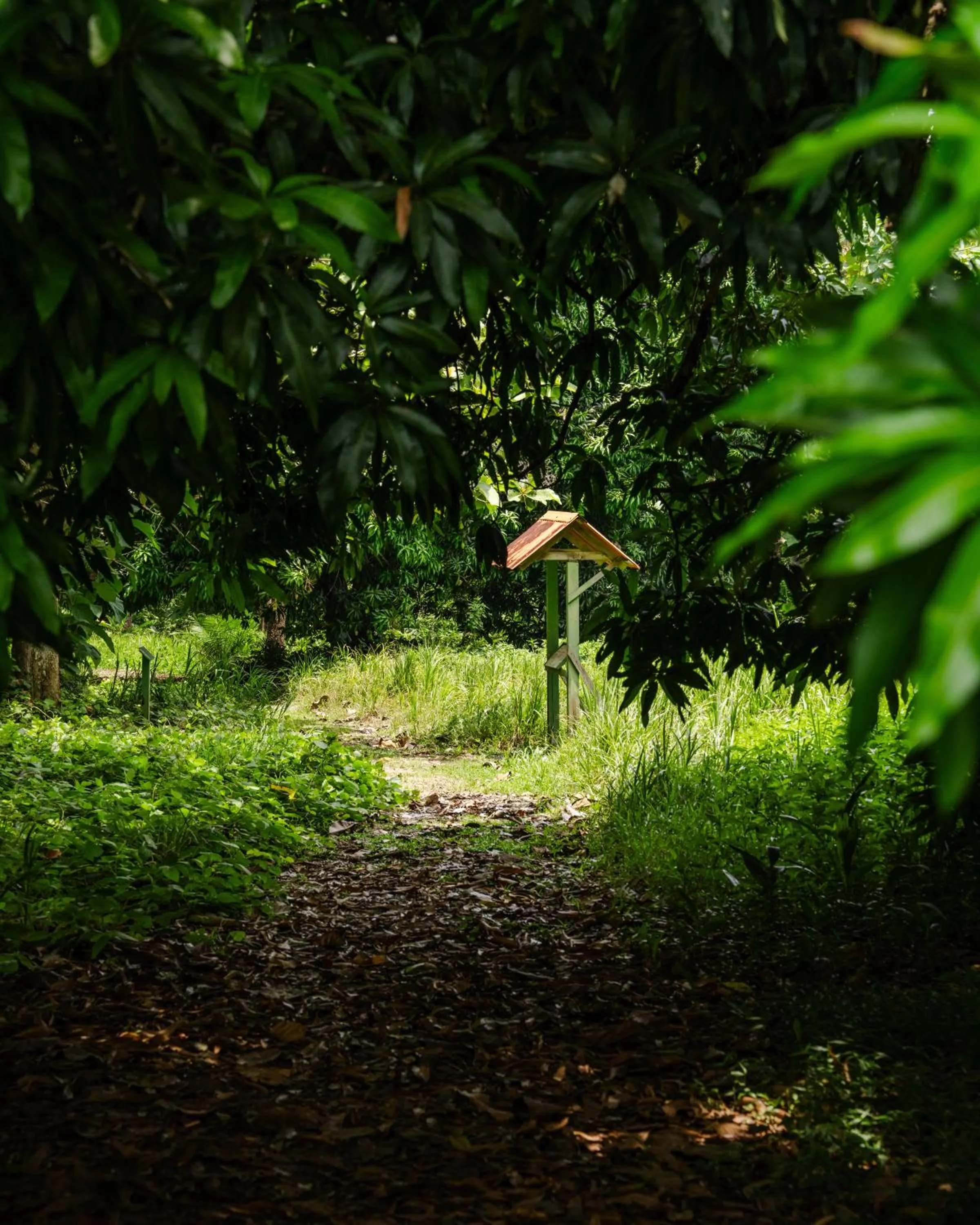 Hiking in Hacienda Baru