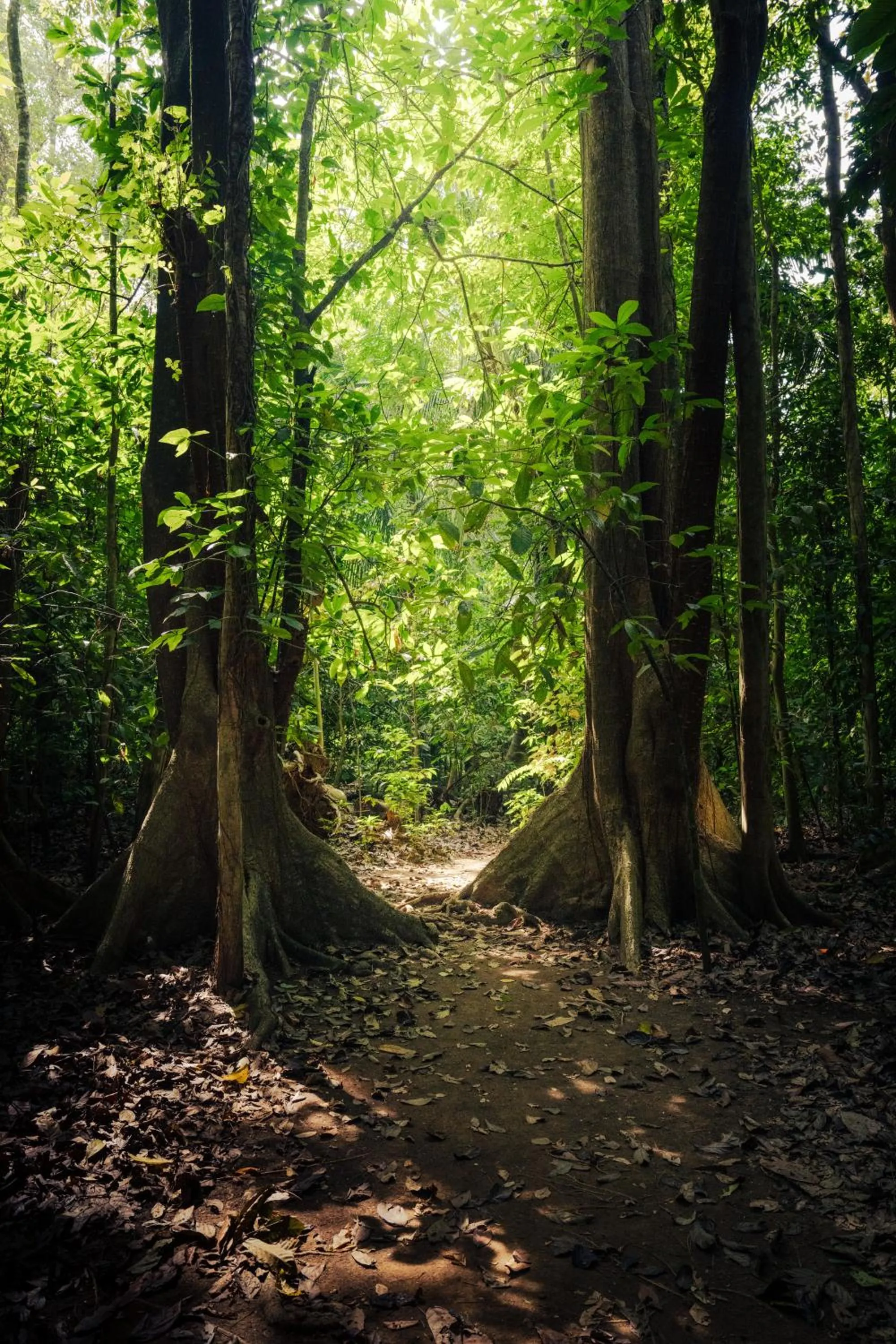 Hiking in Hacienda Baru