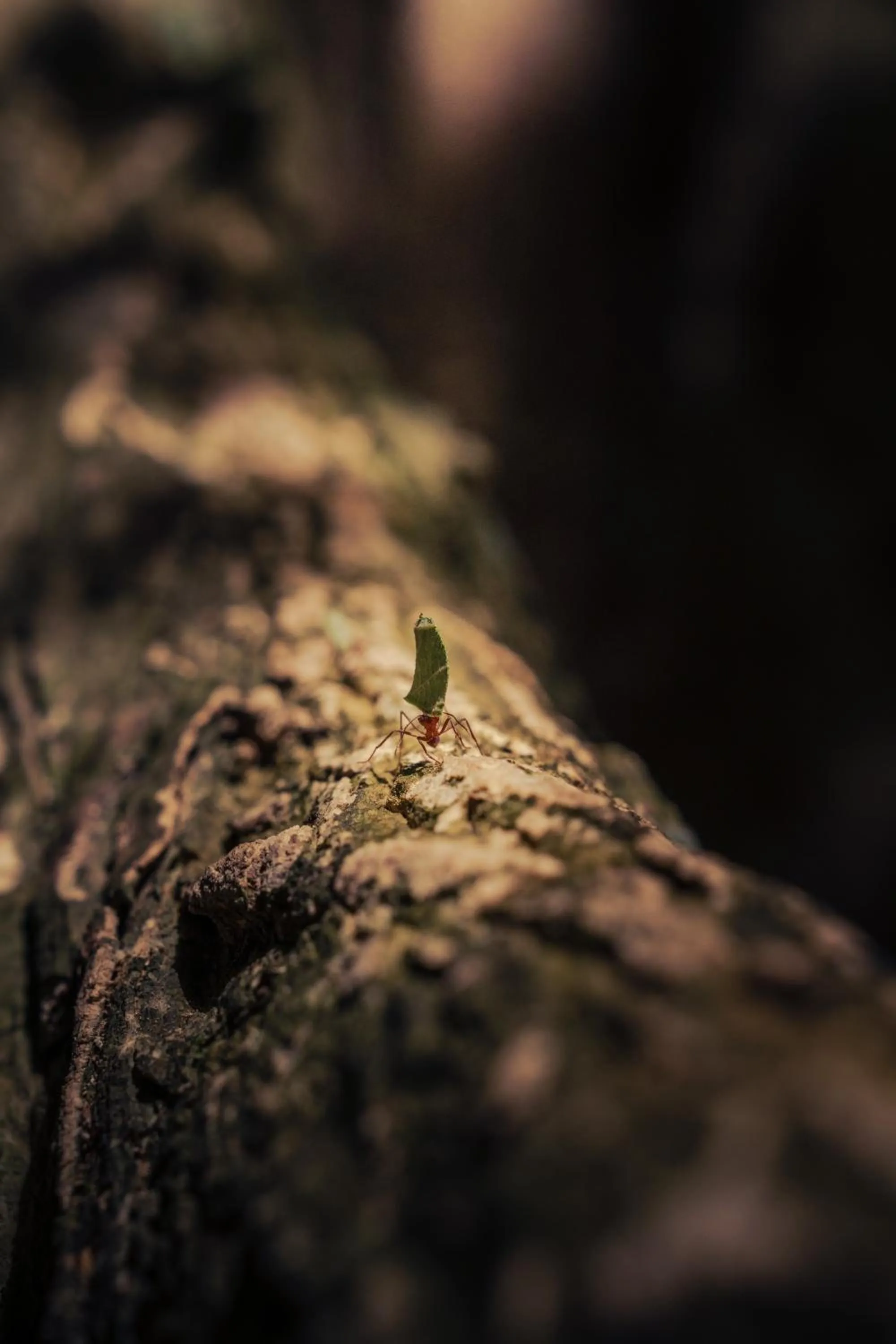 Hiking in Hacienda Baru
