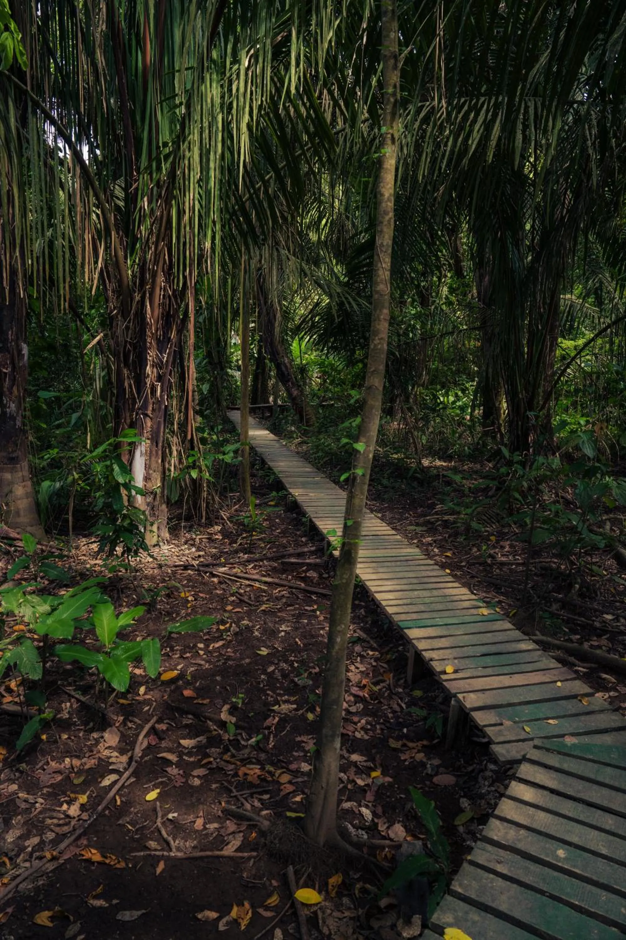 Hiking in Hacienda Baru