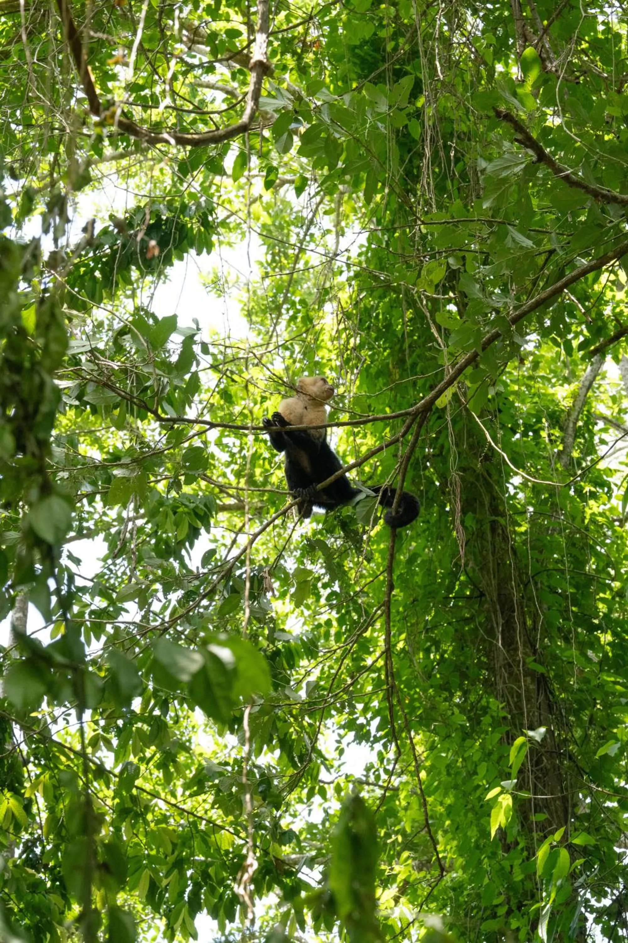 Hiking in Hacienda Baru