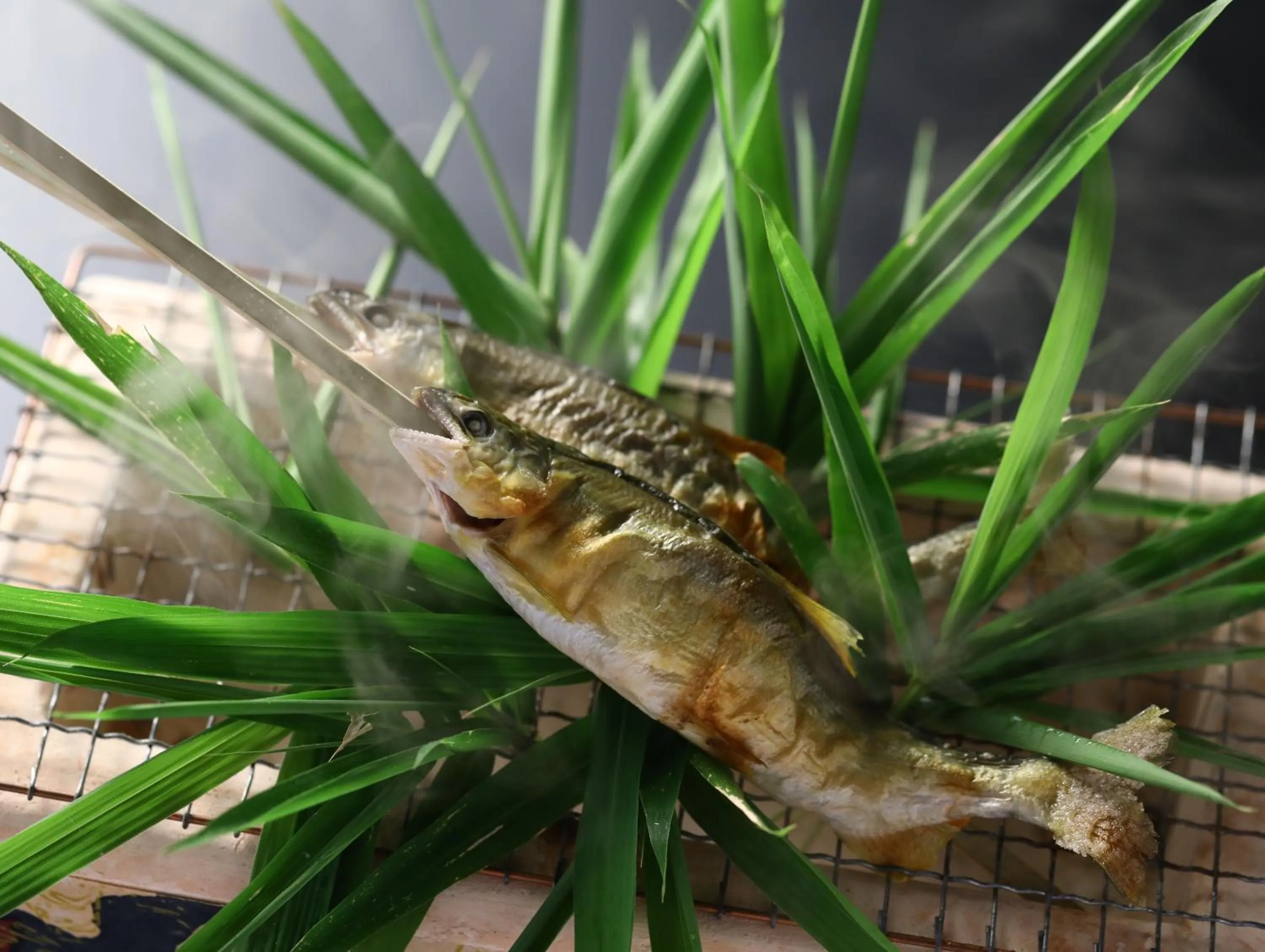 Dinner in Yoshinotei