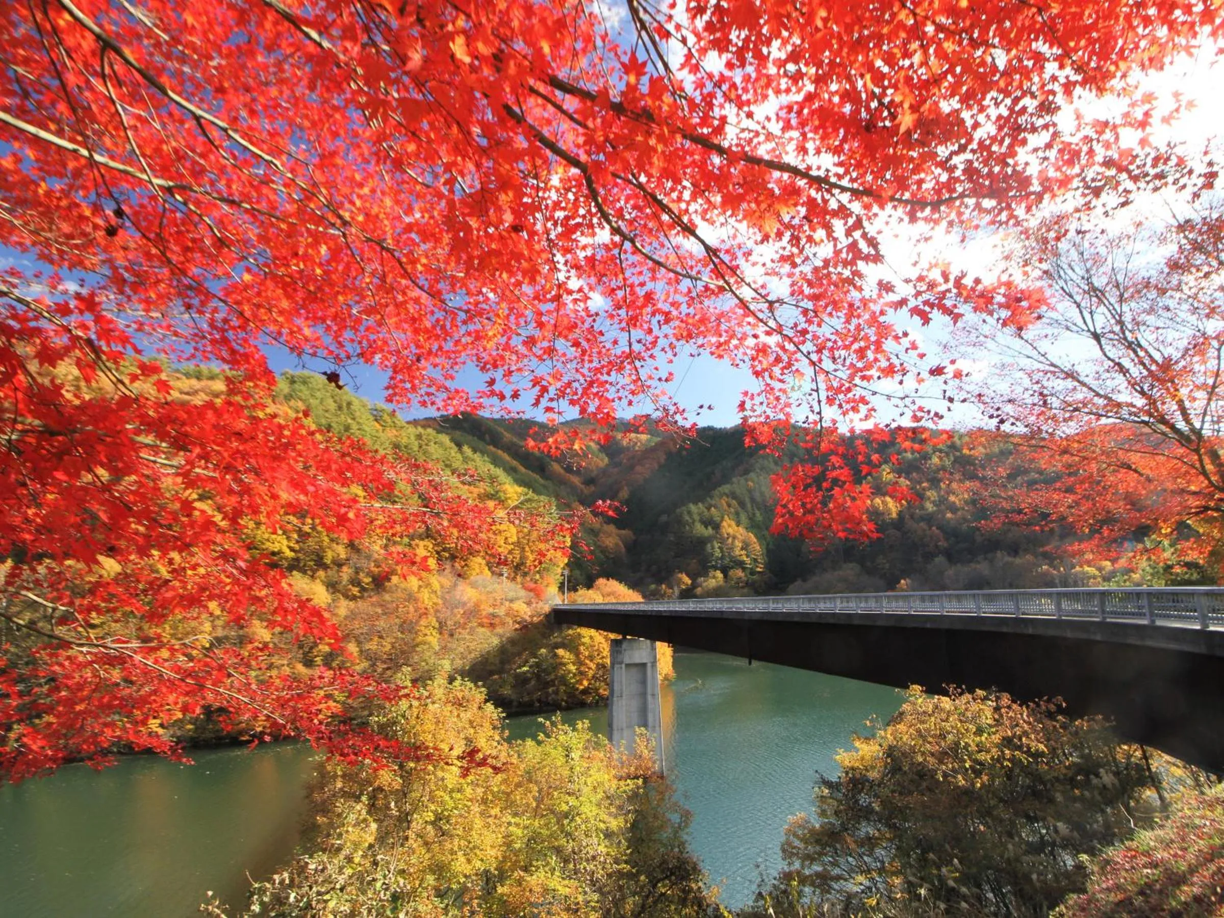 Nearby landmark in Yoshinotei