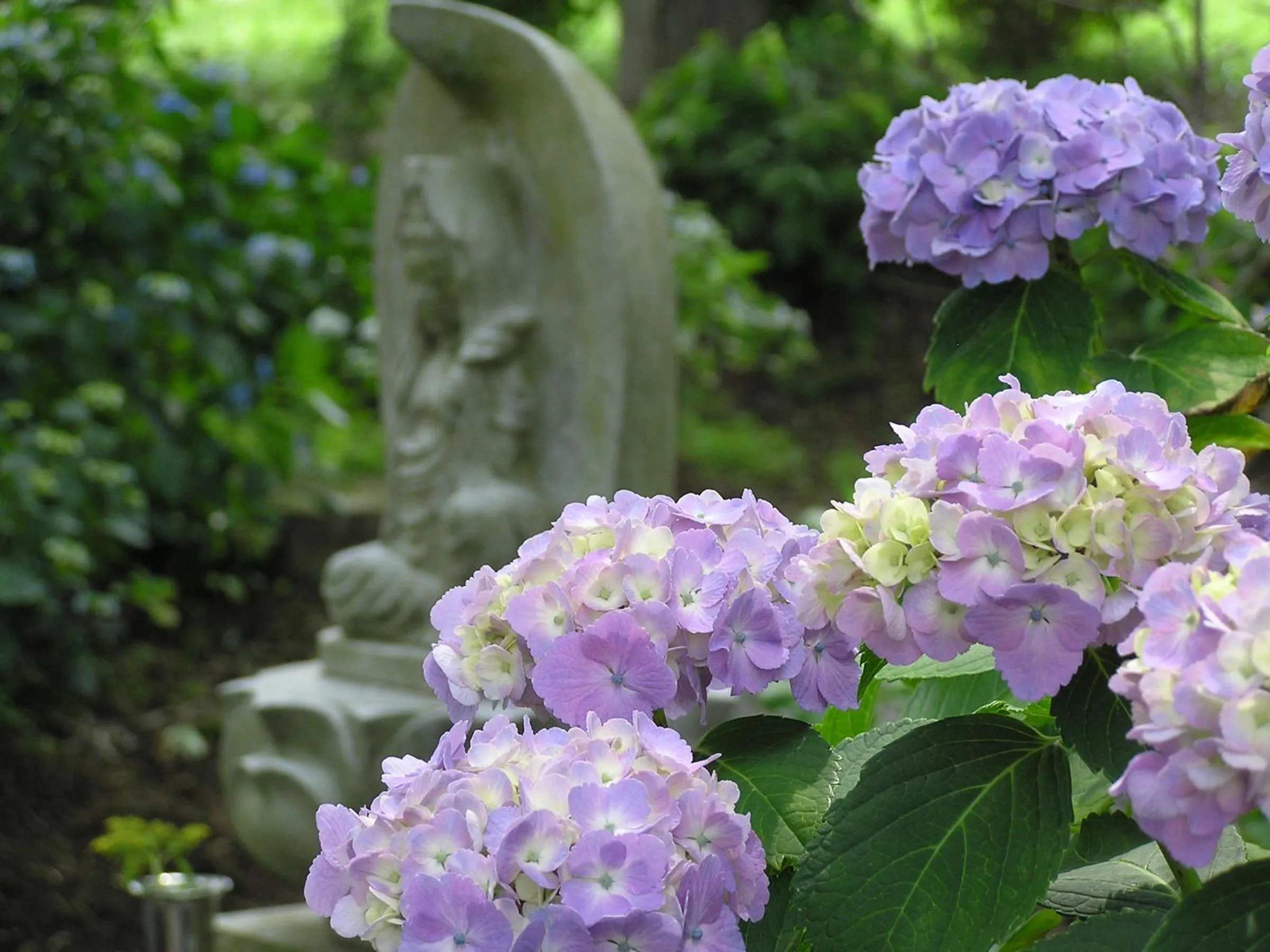 Nearby landmark in Yoshinotei