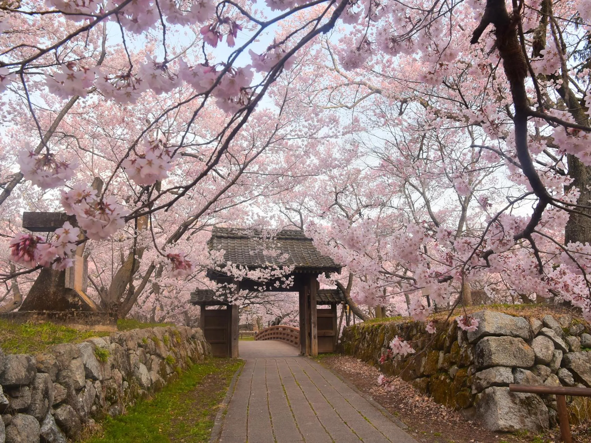 Nearby landmark in Yoshinotei