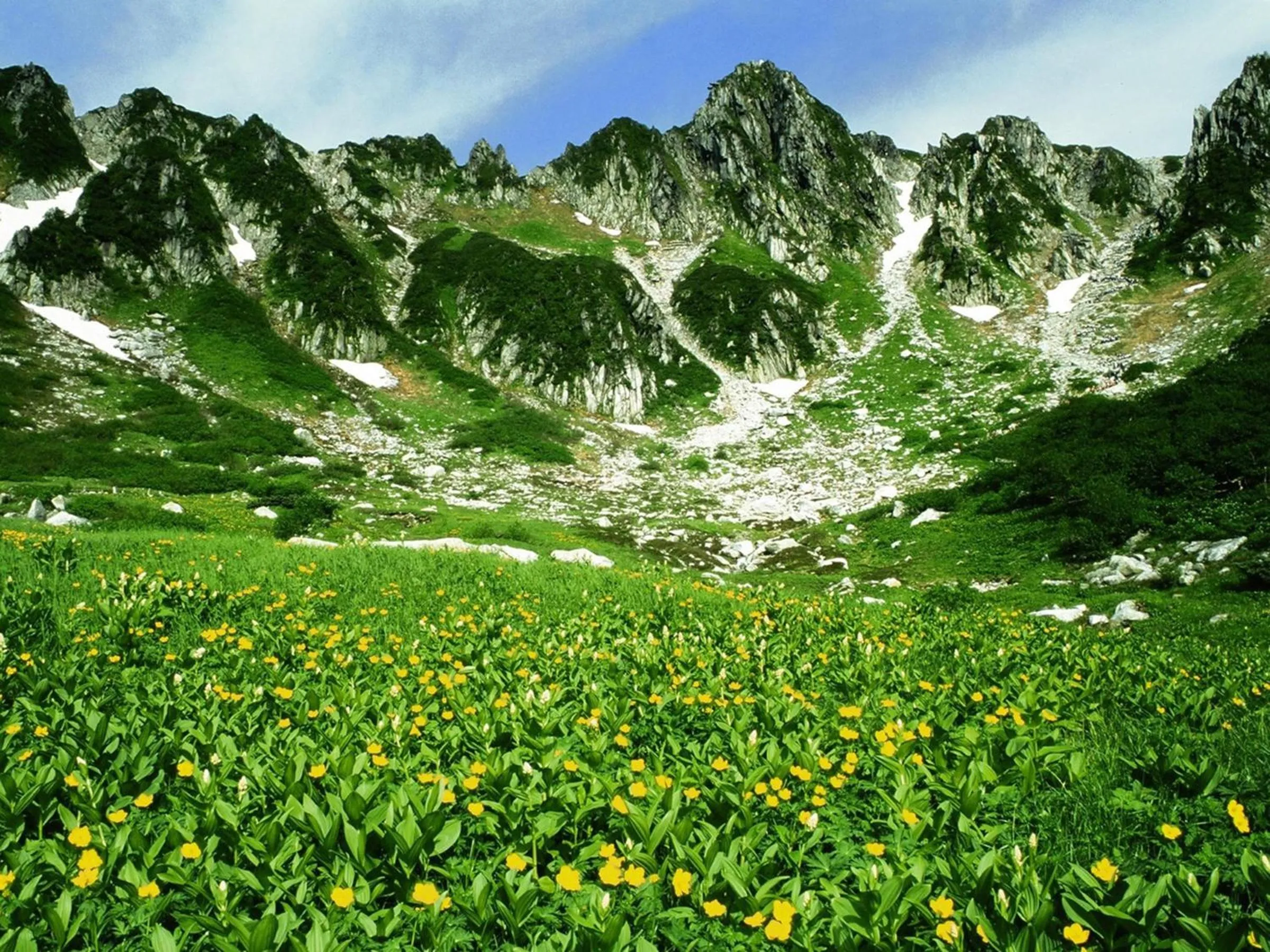 Nearby landmark in Yoshinotei