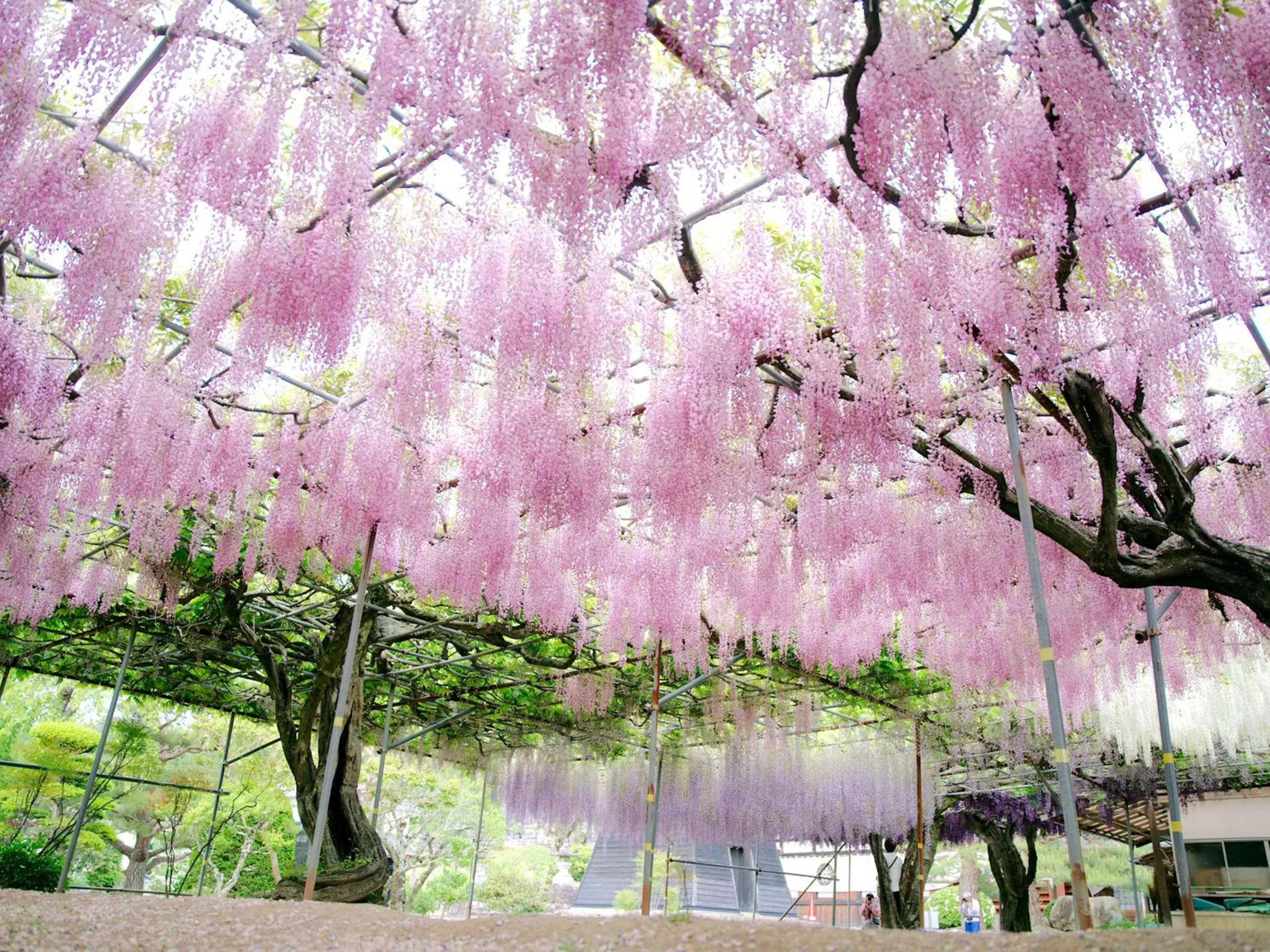 Nearby landmark in Yoshinotei