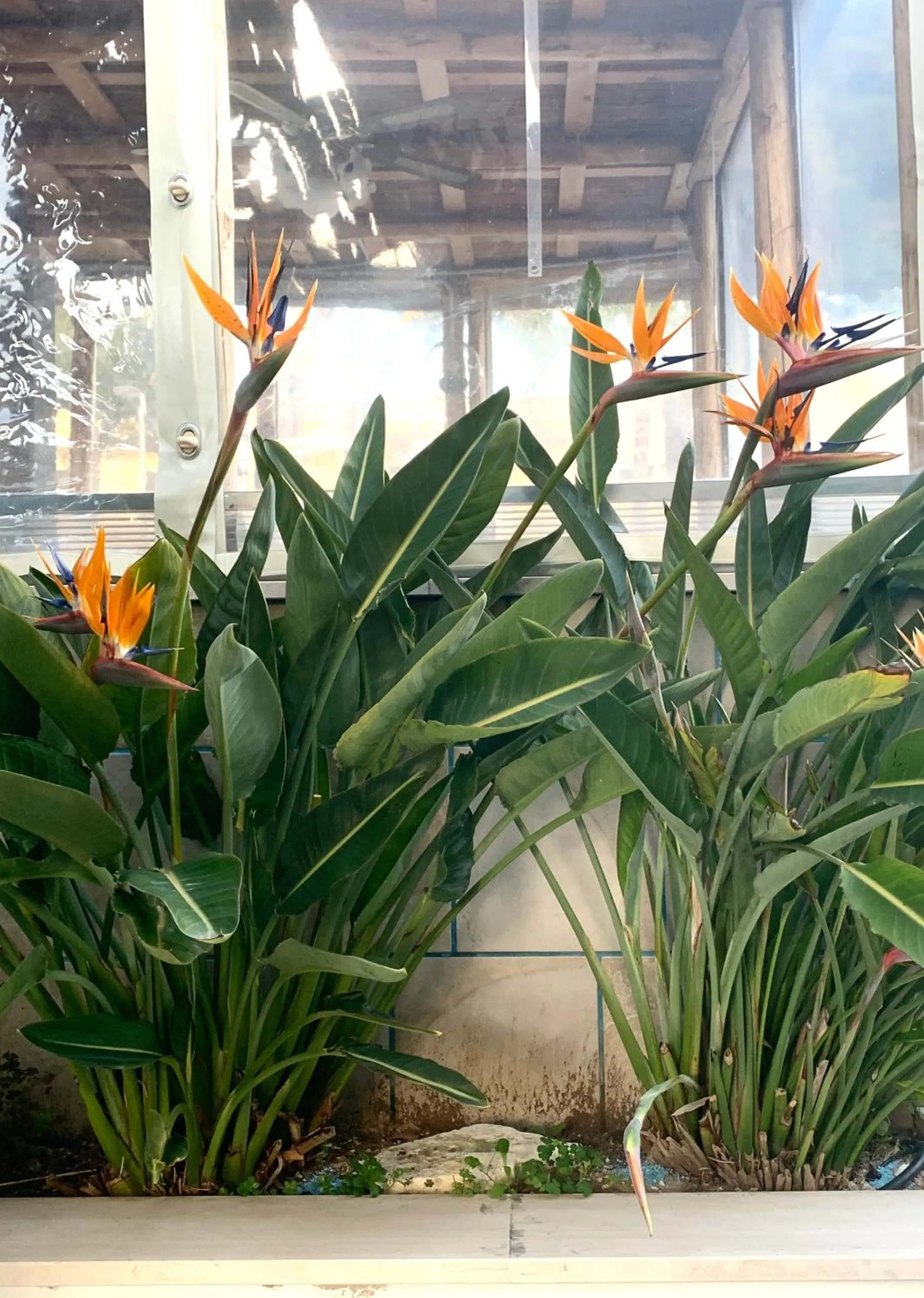 Art Village Residence