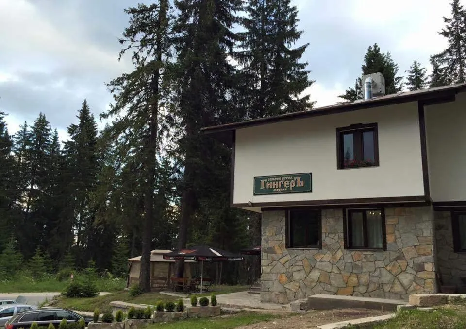 Facade/entrance in Family Hotel Ginger
