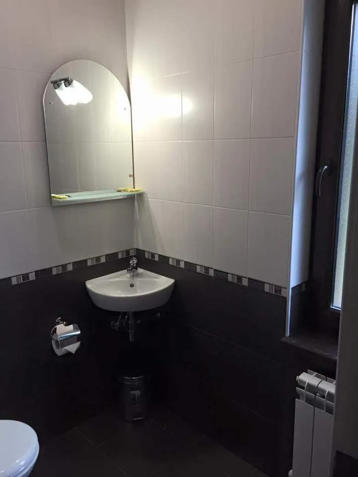 Bathroom in Family Hotel Ginger