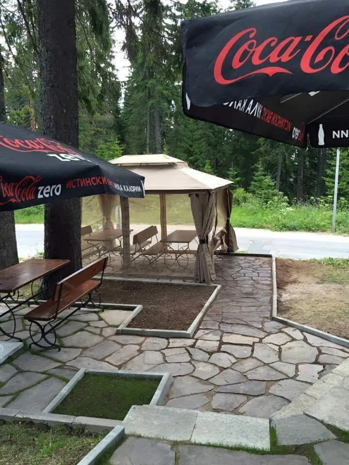 Garden in Family Hotel Ginger