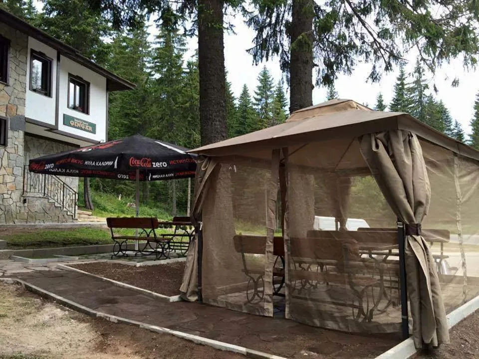 Garden in Family Hotel Ginger