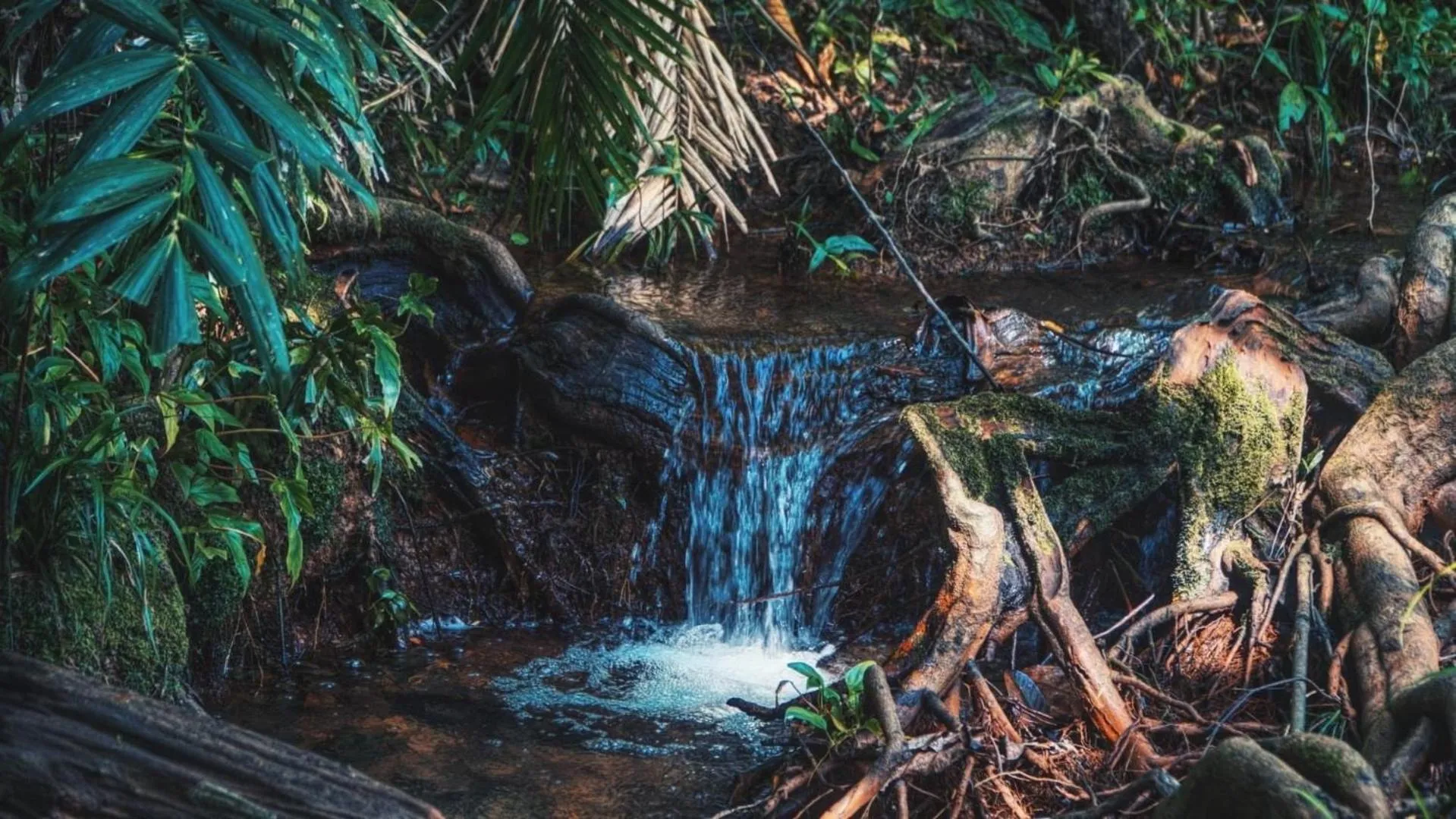 Inner courtyard view in Eve house koh kood
